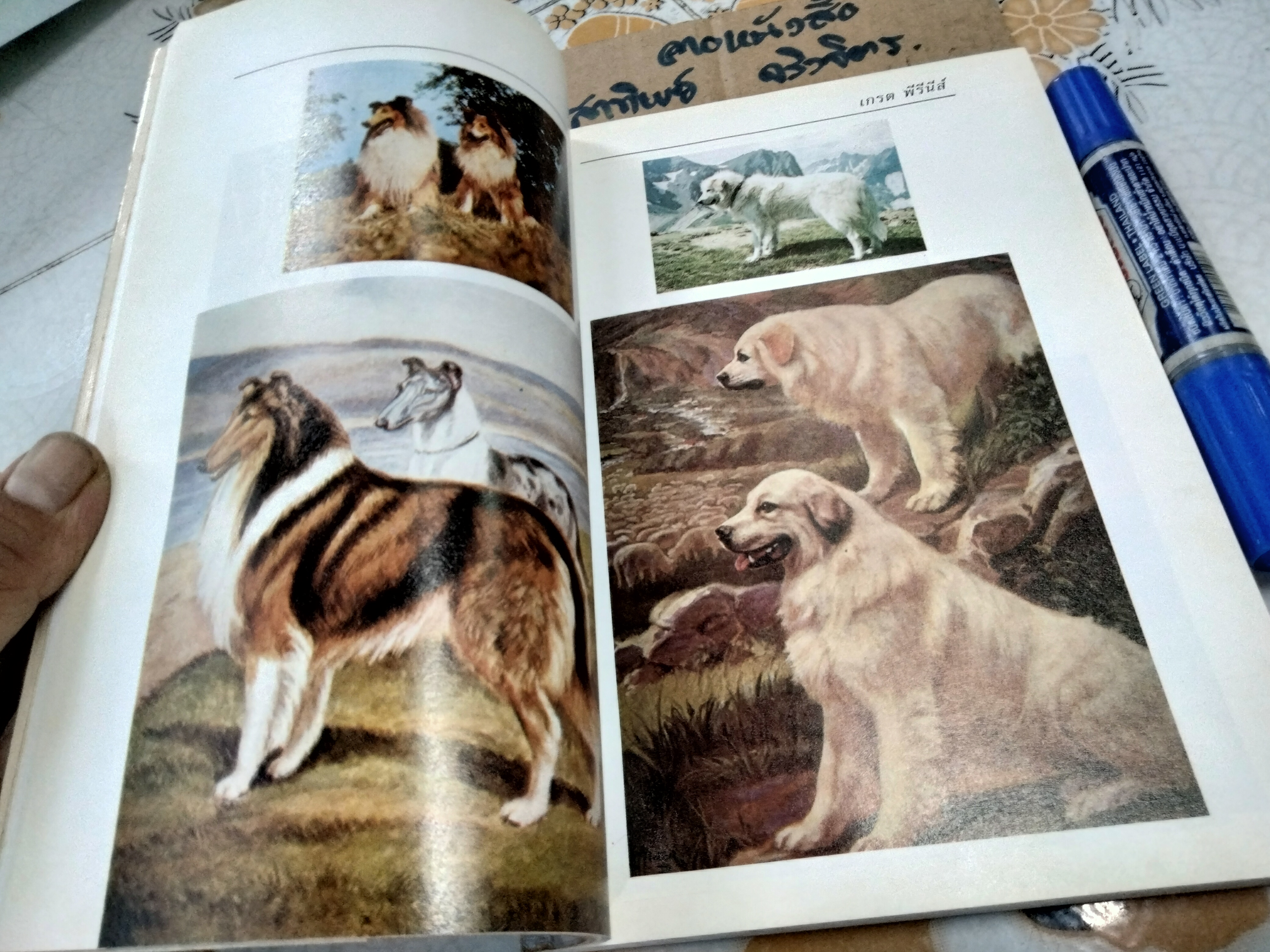 หมา...สัตว์เลี้ยงแสนรัก โดย จําเนียร เหมะรัต , พิมพ์ครั้งแรก พ.ศ 2534