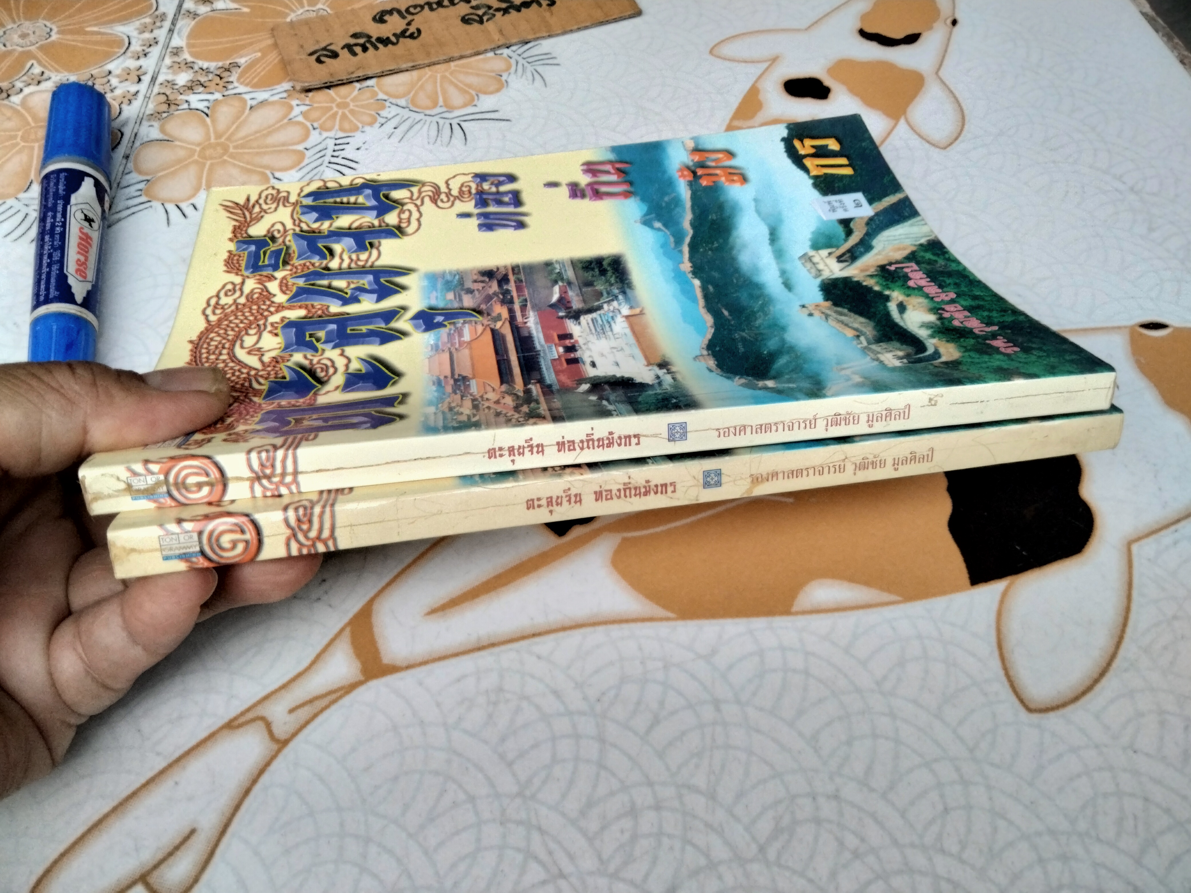 ตะลุยจีน ท่องถิ่นมังกร โดย รศ.วุฒิชัย มูลศิลป์ พิมพ์ พ.ศ.2540 **สินค้าหมด**