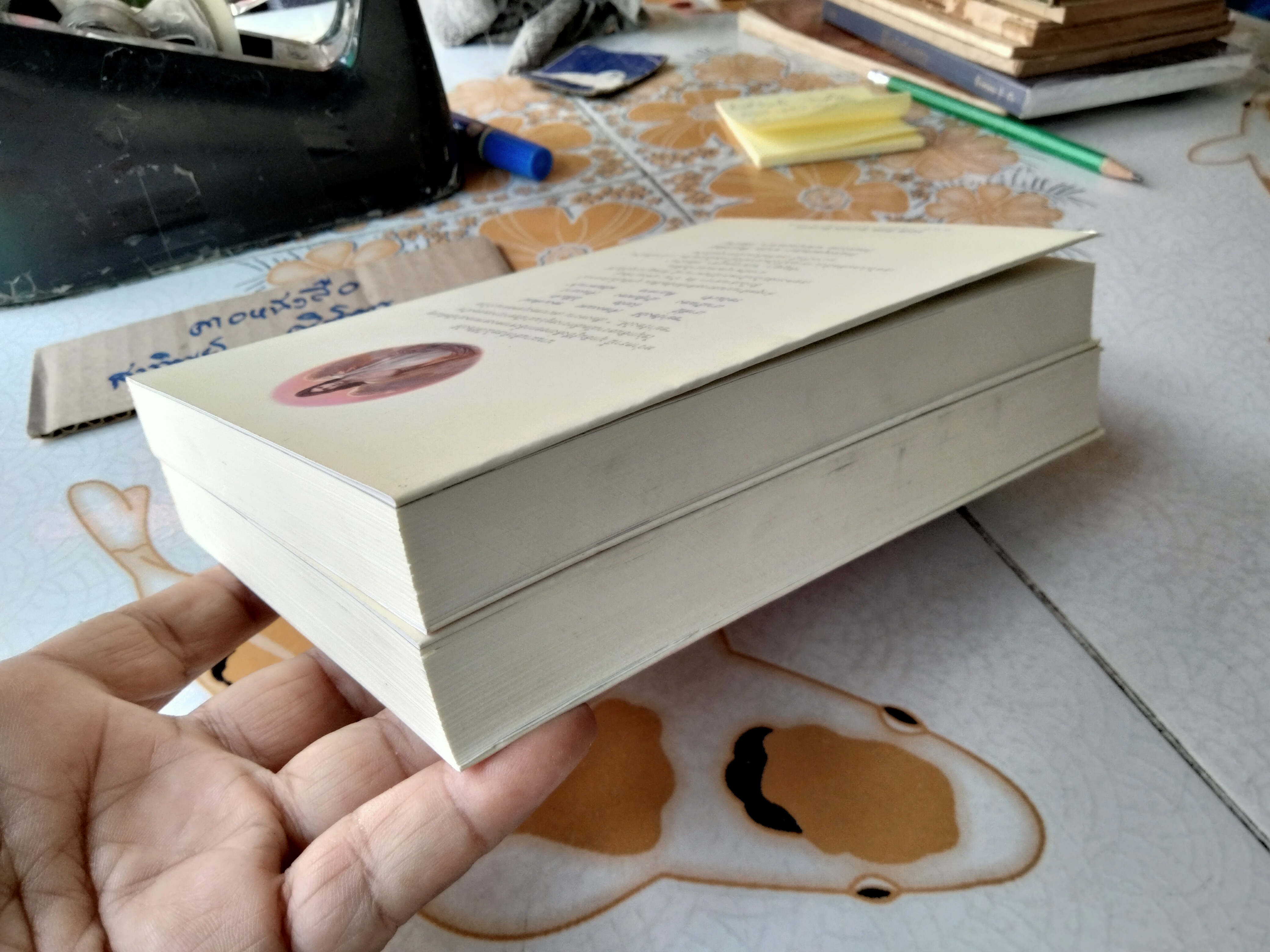 เทวปักษี เล่ม 1-2 หนึ่งในชุด นิยายไตรภาค ของ ลักษณวดี สนพ. ณ บ้านวรรณกรรม