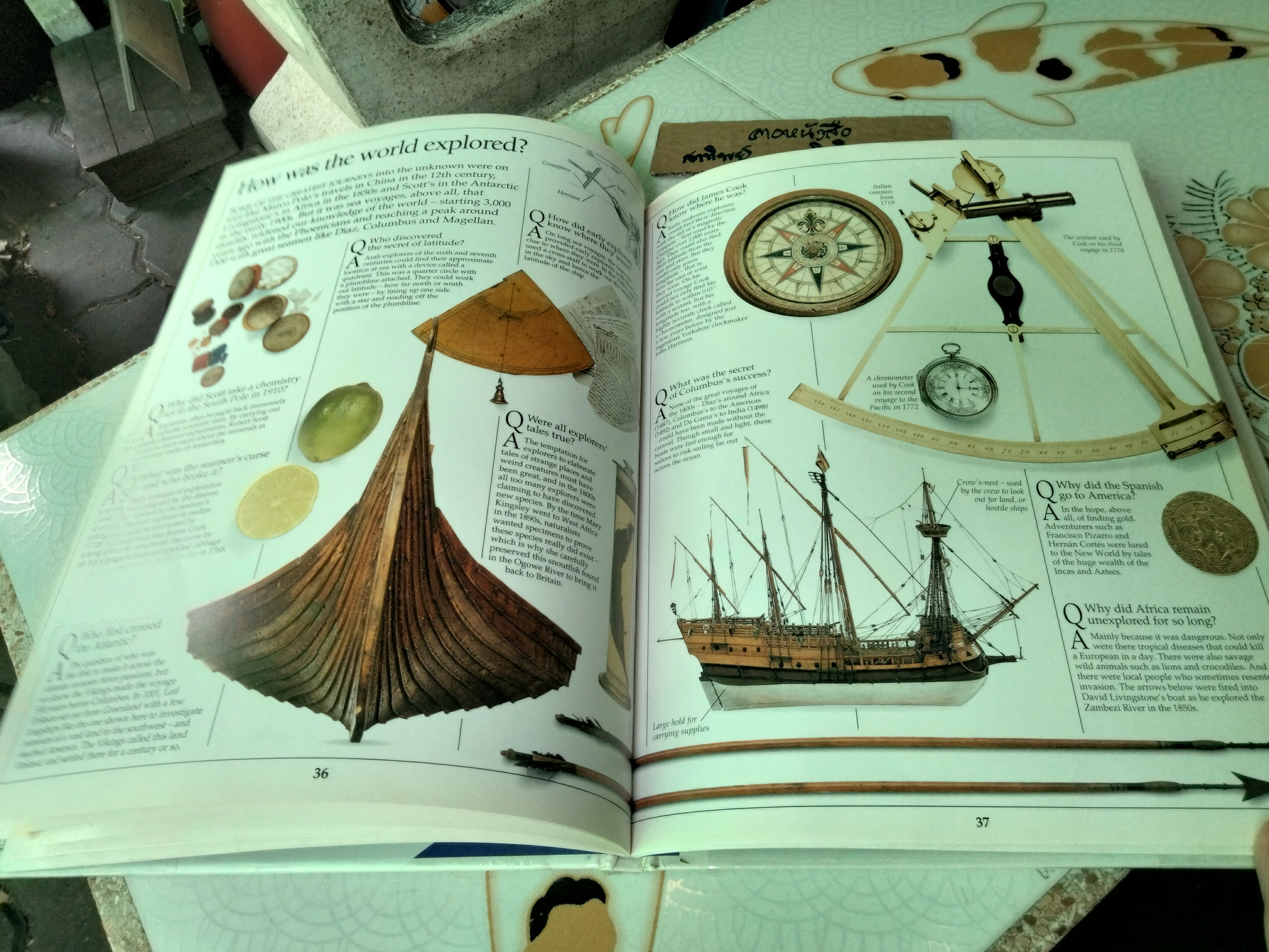 Question & Answer Book หนังสือความรู้ยอดนิยม Eyewitness