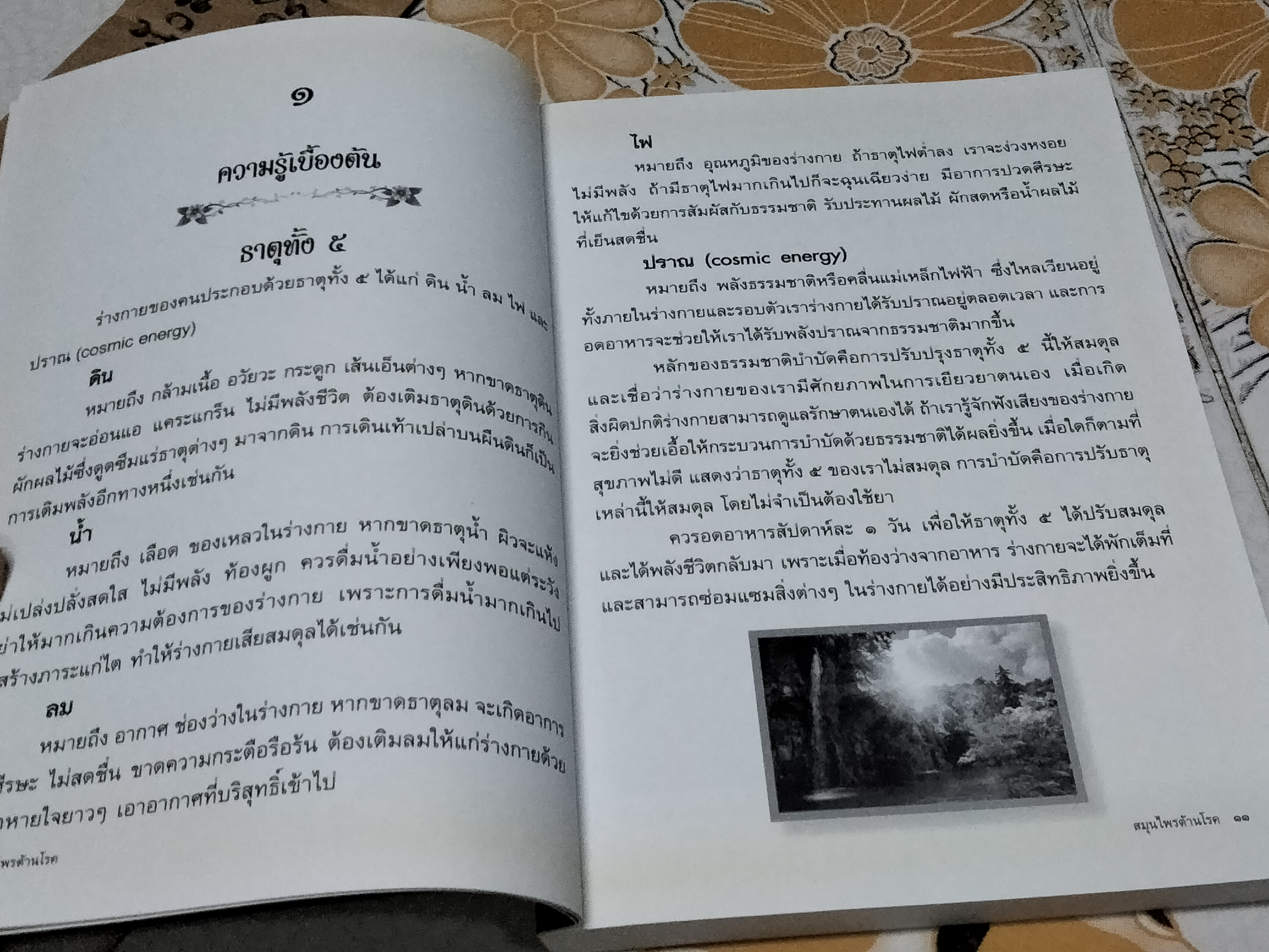 สมุนไพรต้านโรค - หนังสือที่รวบรวมองค์ความรู้มาจากหลากหลายแหล่งข้อมูล