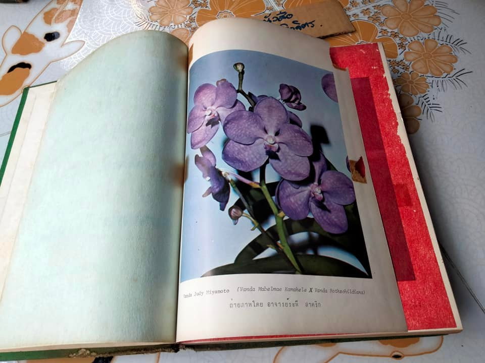 สรุปคำบรรยายการอบรมวิชา หลักการเพาะปลูกกล้วยไม้ ของ สมาคมกล้วยไม้แห่งประเทศไทย