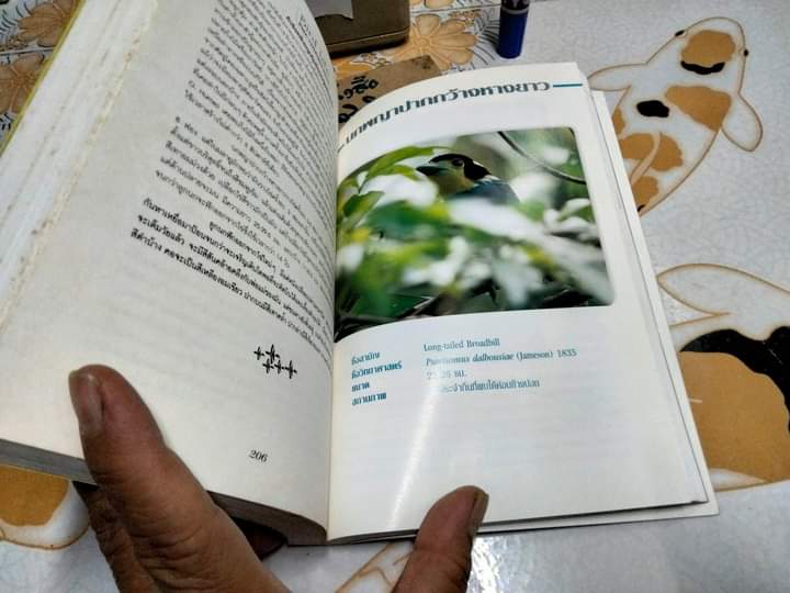 ชีวิตนก Bird Life จากบันทึก เเละความทรงจำ เล่ม 3 โดย สุธี ศุภรัฐวิกร พิมพ์ปี พ.ศ.2540