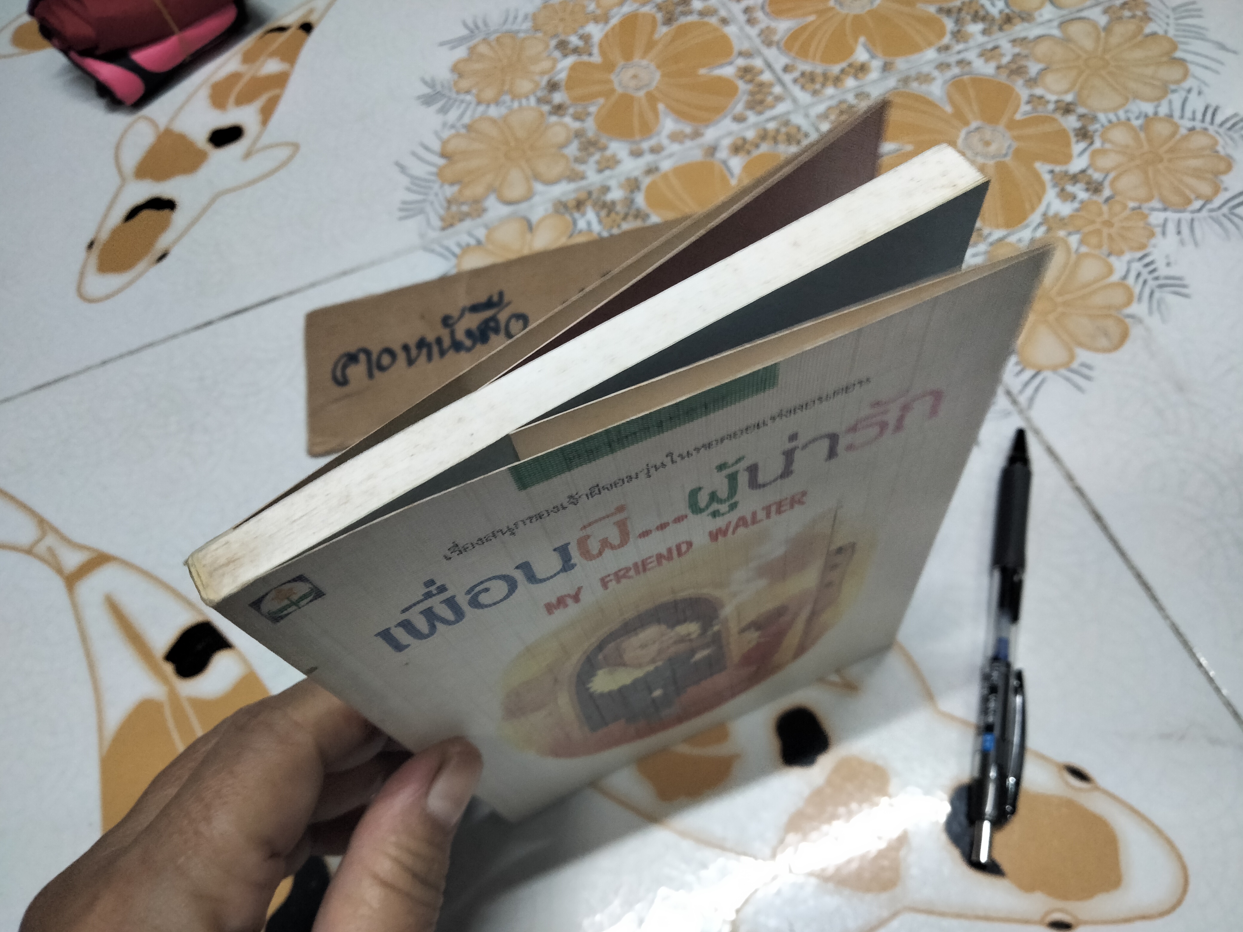 เพื่อนผี...ผู้น่ารัก My Friend Walter ไมเคิล มอร์เพอร์โก เขียน, ปิยะภาแปล **สินค้าหมด**