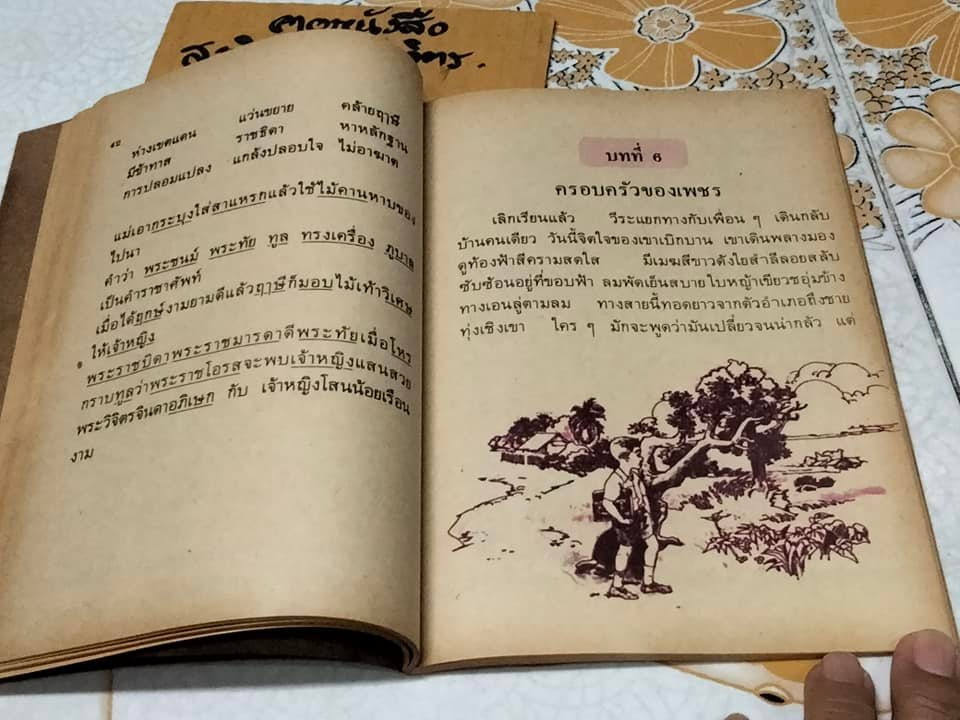 หนังสือเรียนภาษาไทย มานี มานะ ป.3 เล่ม 1 (ตำหนิ - หน้าที่ 9 มุมหนังสือมีรอยฉีกแหว่ง เนื้อหาหายไปบางส่วน)