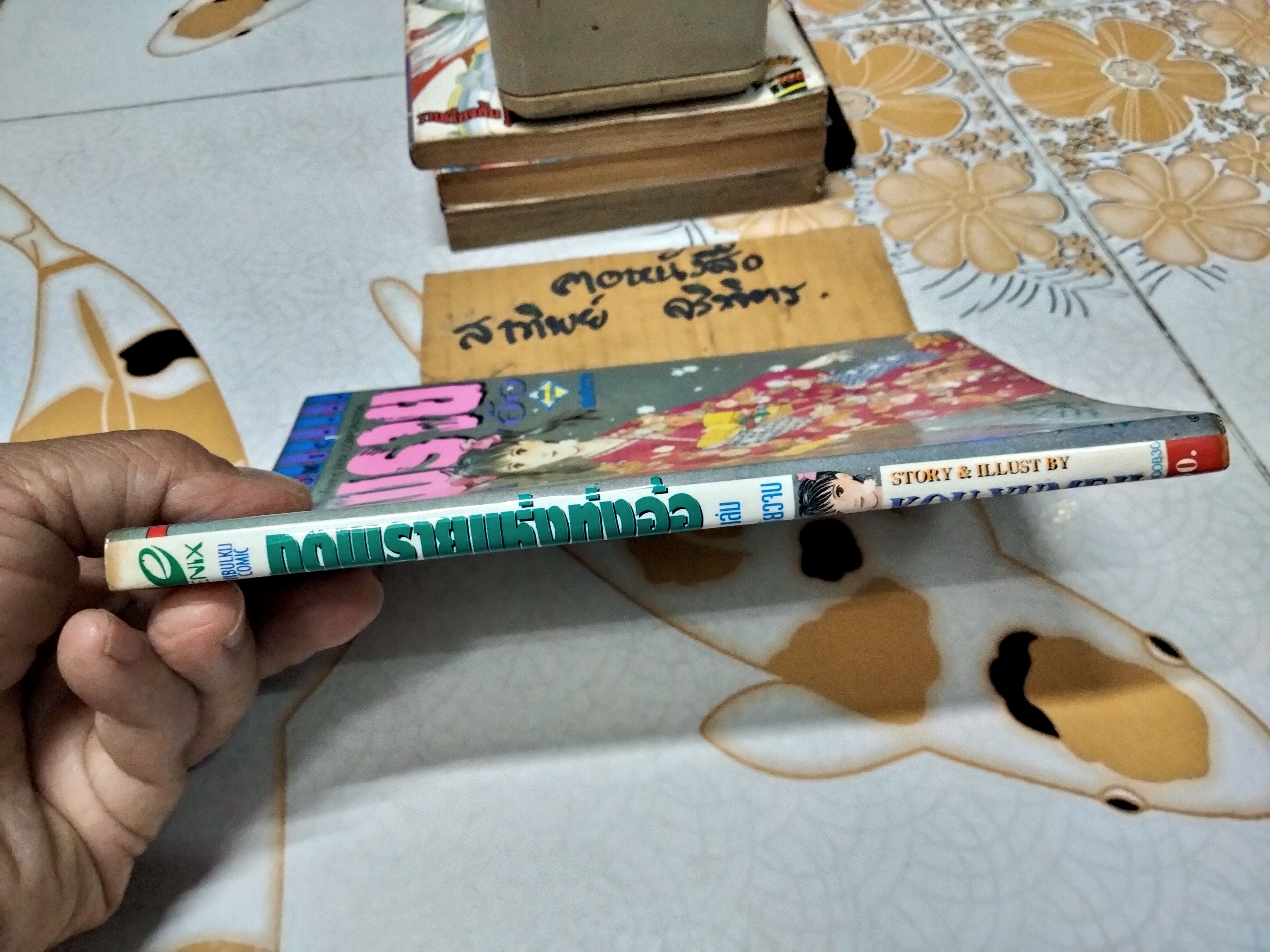 ภูตพรายแห่งทุ่งอ้อ (เล่มเดียวจบ) **สินค้าหมด**