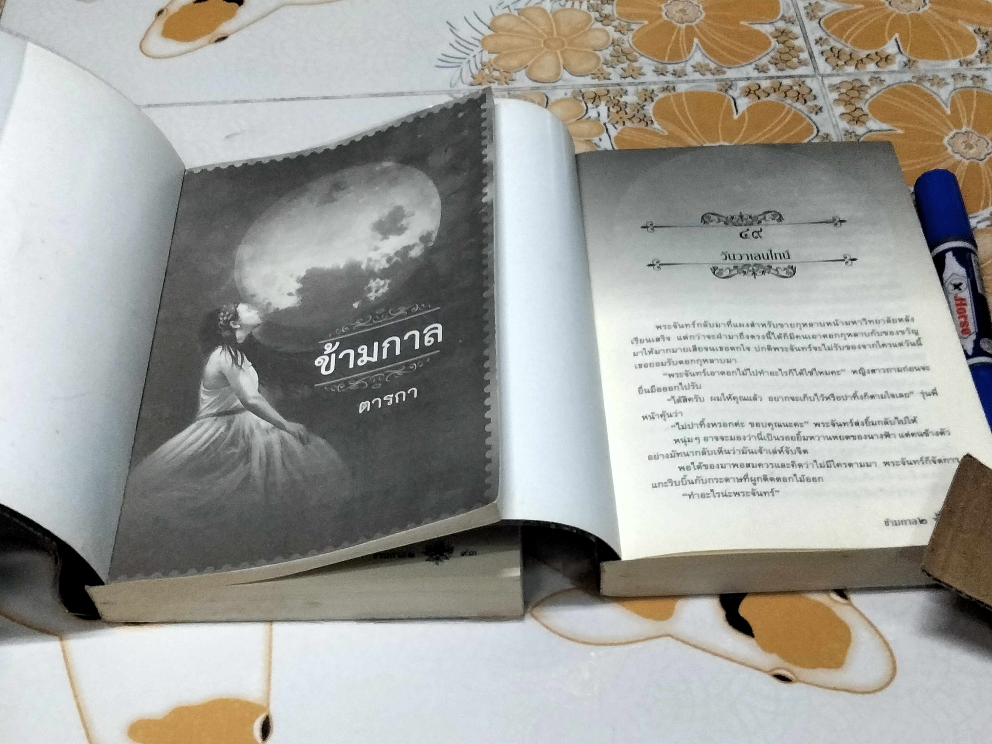 ข้ามกาล (2 เล่มจบ) โดย ตารกา **สินค้าหมด**