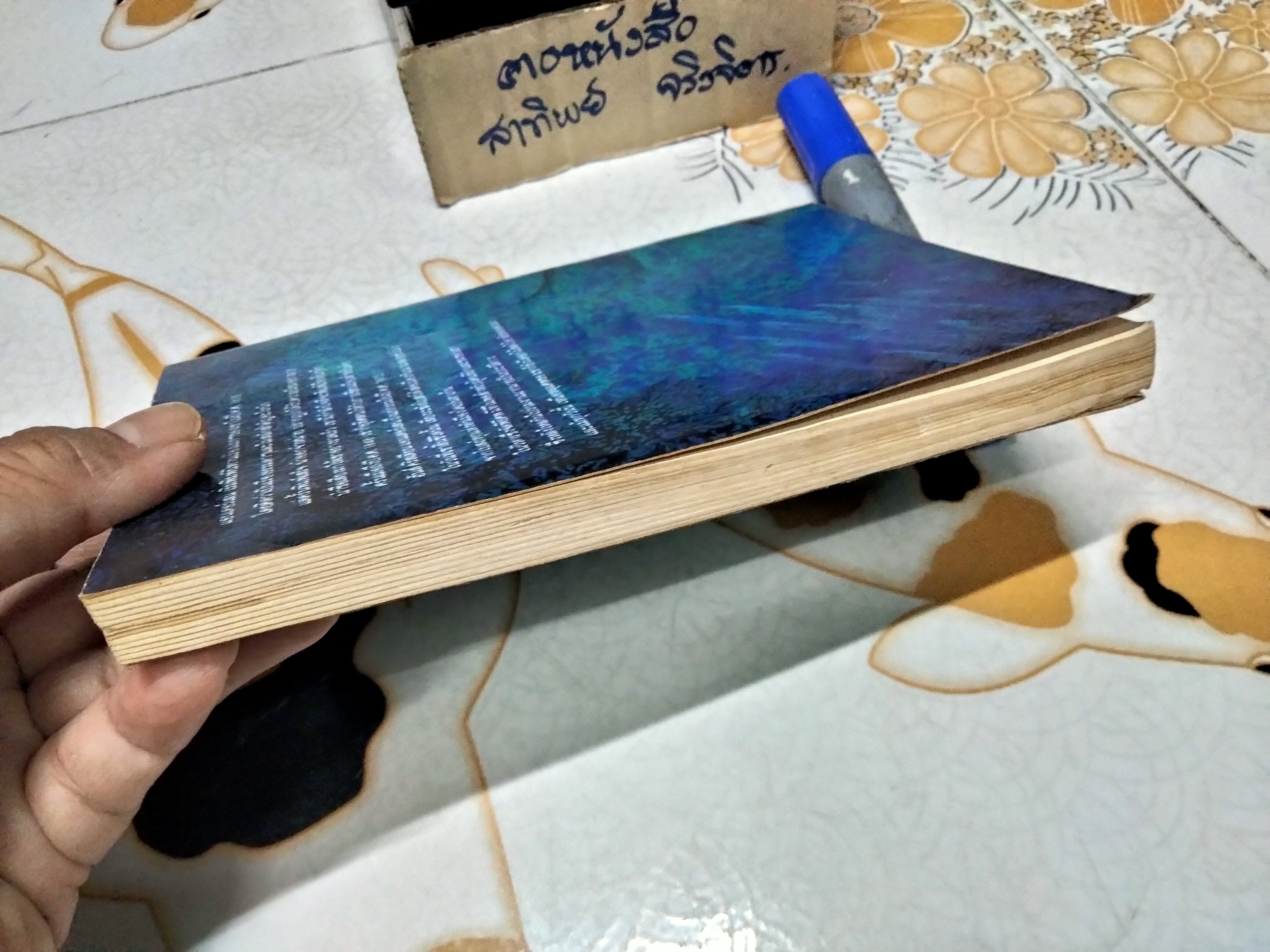 เงือกน้อย - ฮันส์ คริสเตียน แอนเดอร์เสน เขียน / ผกาวดี อุตตโมทย์ แปล (ฉบับแก้ไขรวมเล่ม พิมพ์ครั้งแรก 2539)