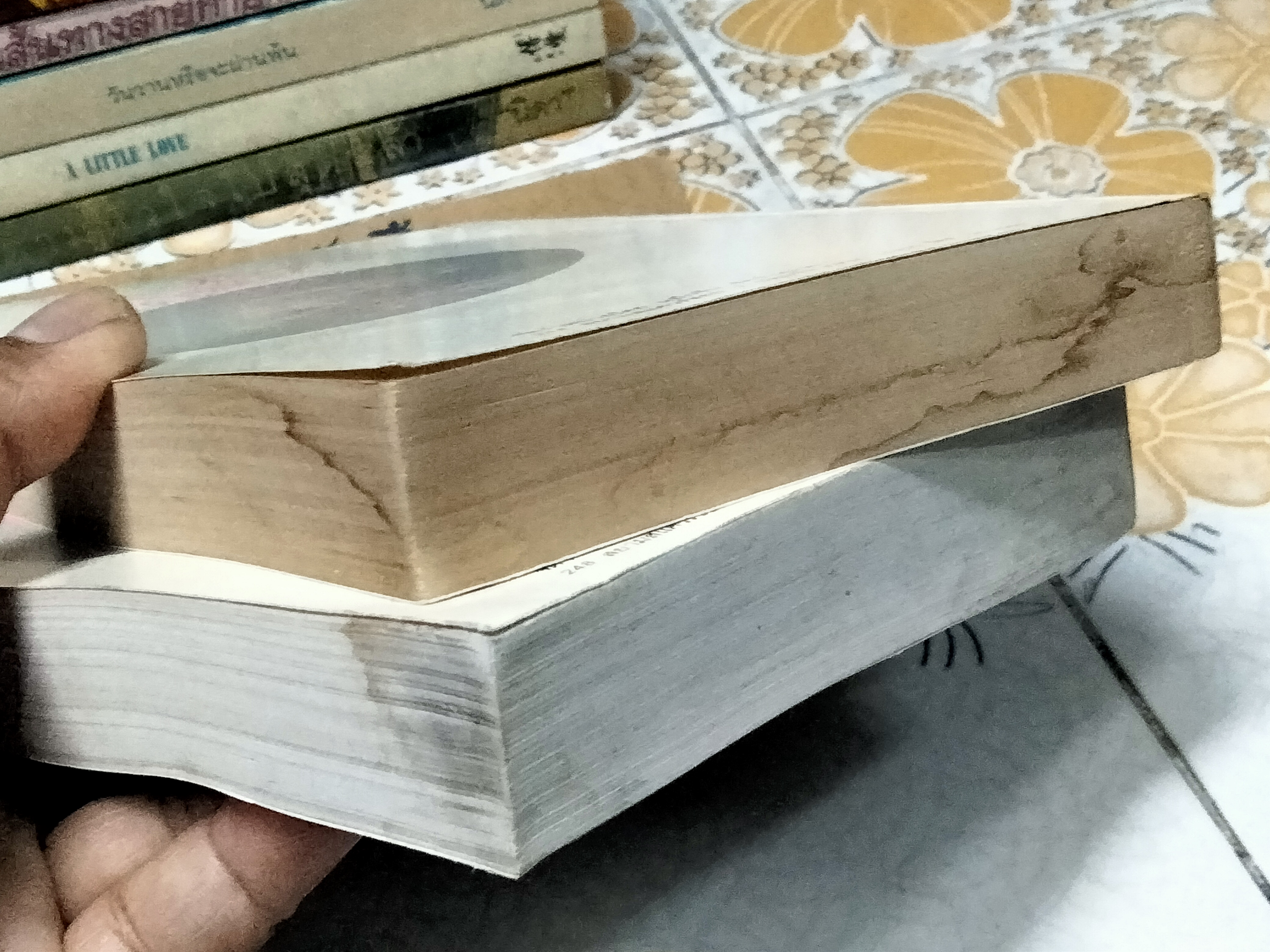 คุณหญิงสีวิกา (2เล่มชุด) ดัดแปลงโดยใช้จากเค้าโครงเรื่อง Rebecca ดำเนินเรื่องโดย นิดา **สินค้าหมด**