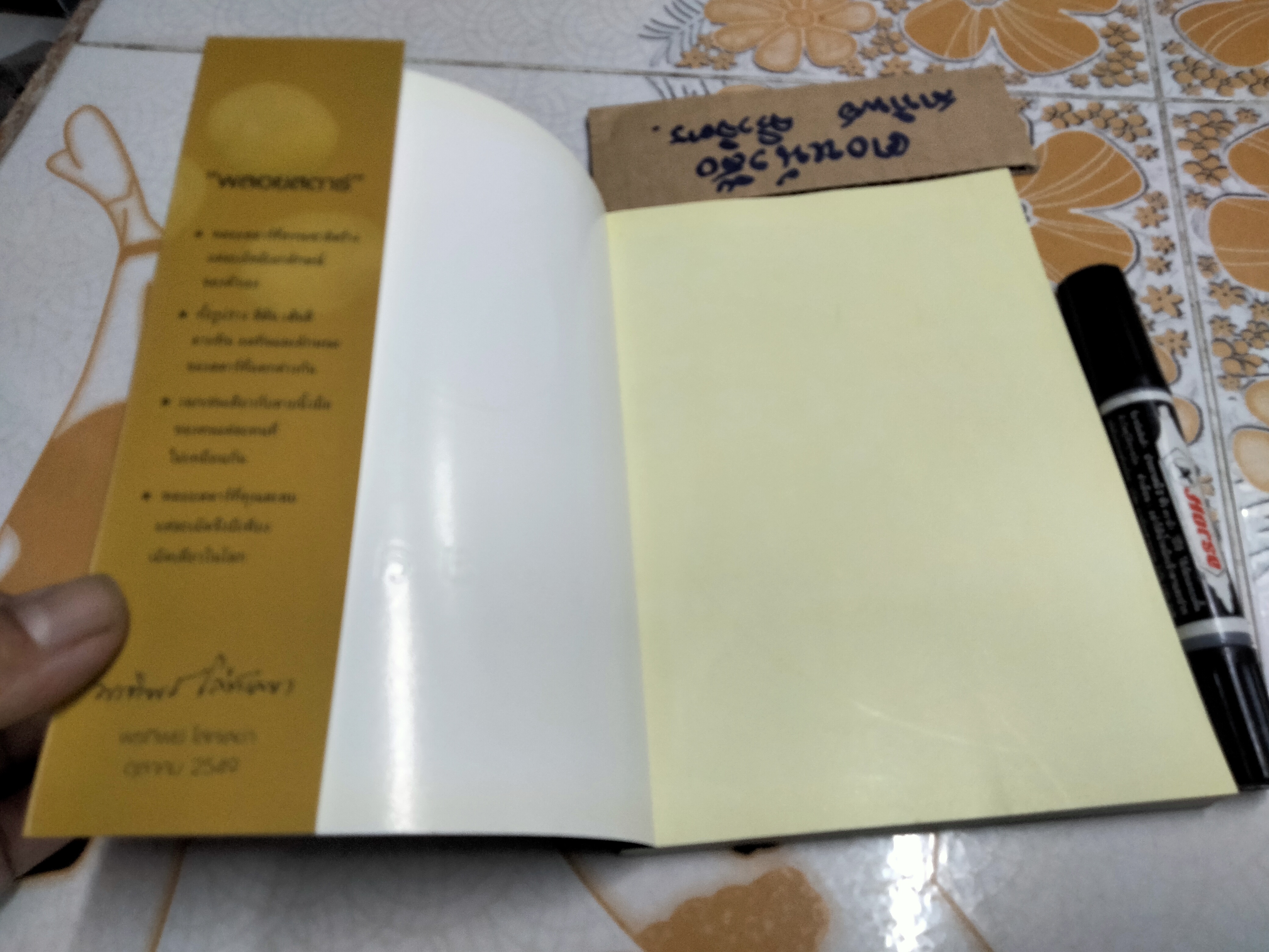 พลอยสตาร์ - พรทิพย์ โล่ห์เลขา