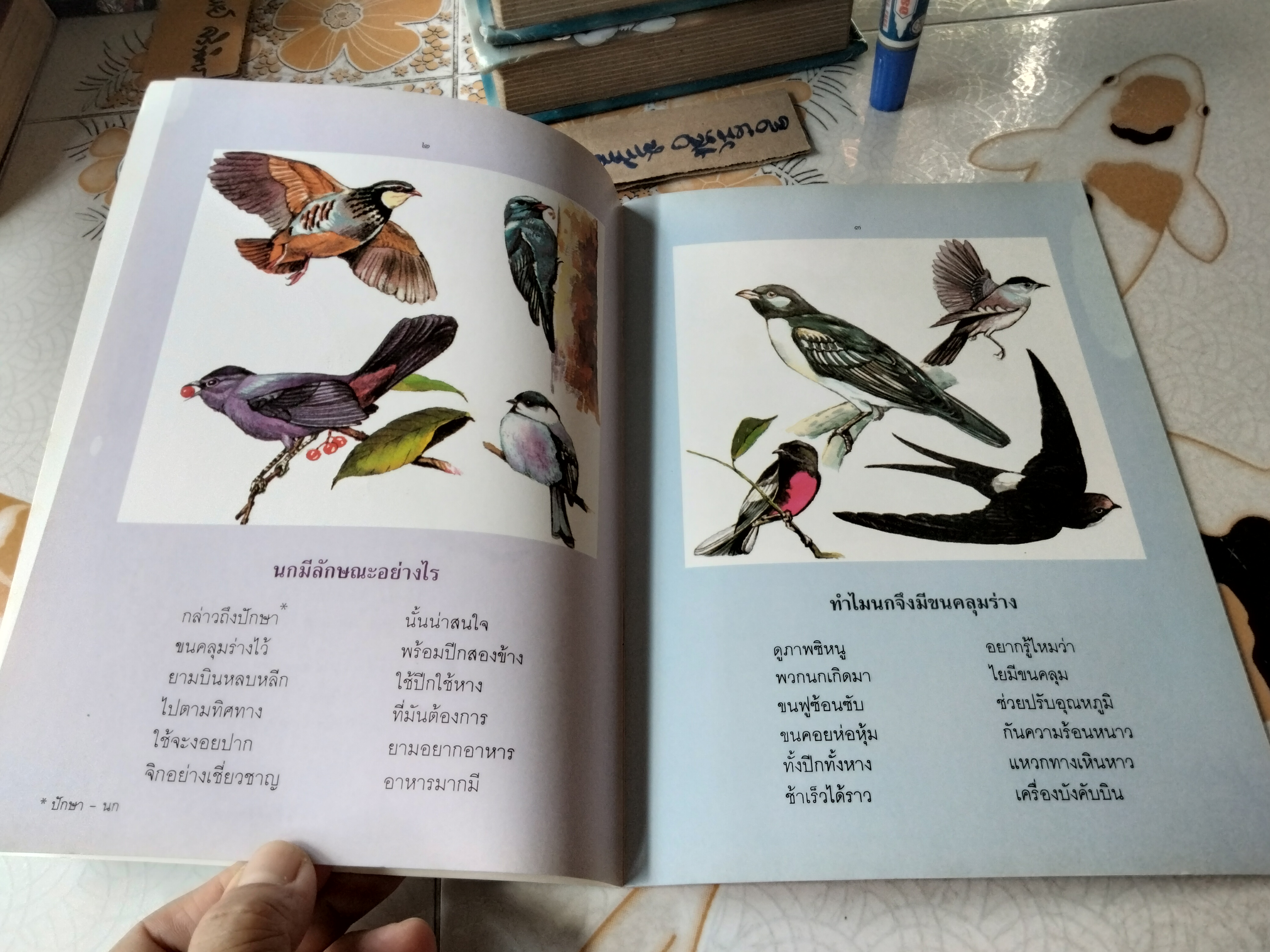 ชุดธรรมชาติน่ารู้ ปักษาน่าสนใจ อภิวรรณ วีระสมิทธ์ เรื่อง อดุลย์ กล่ำนาค ภาพ