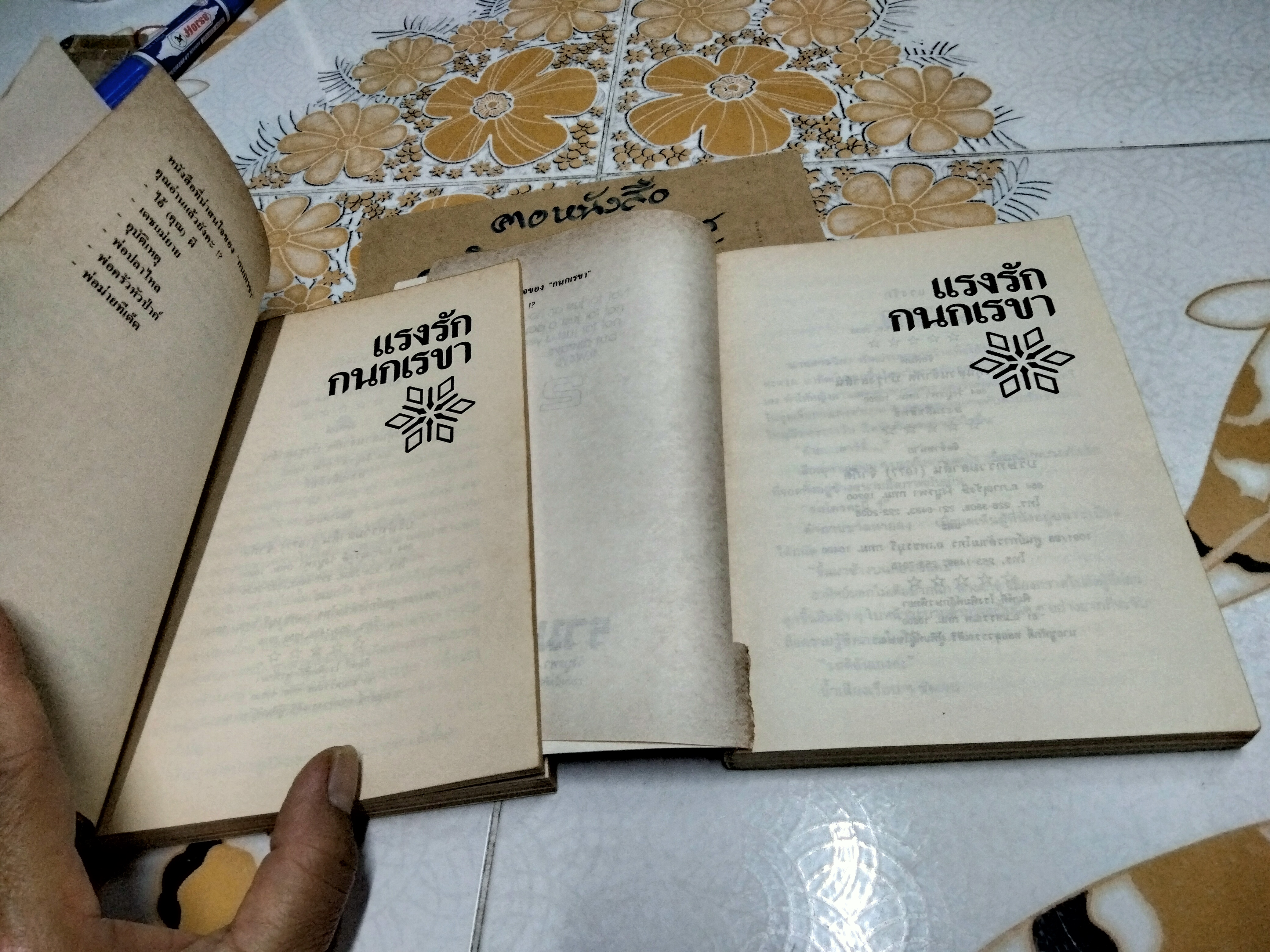 แรงรัก (2 เล่มจบ) กนกเรขา **สินค้าหมด**