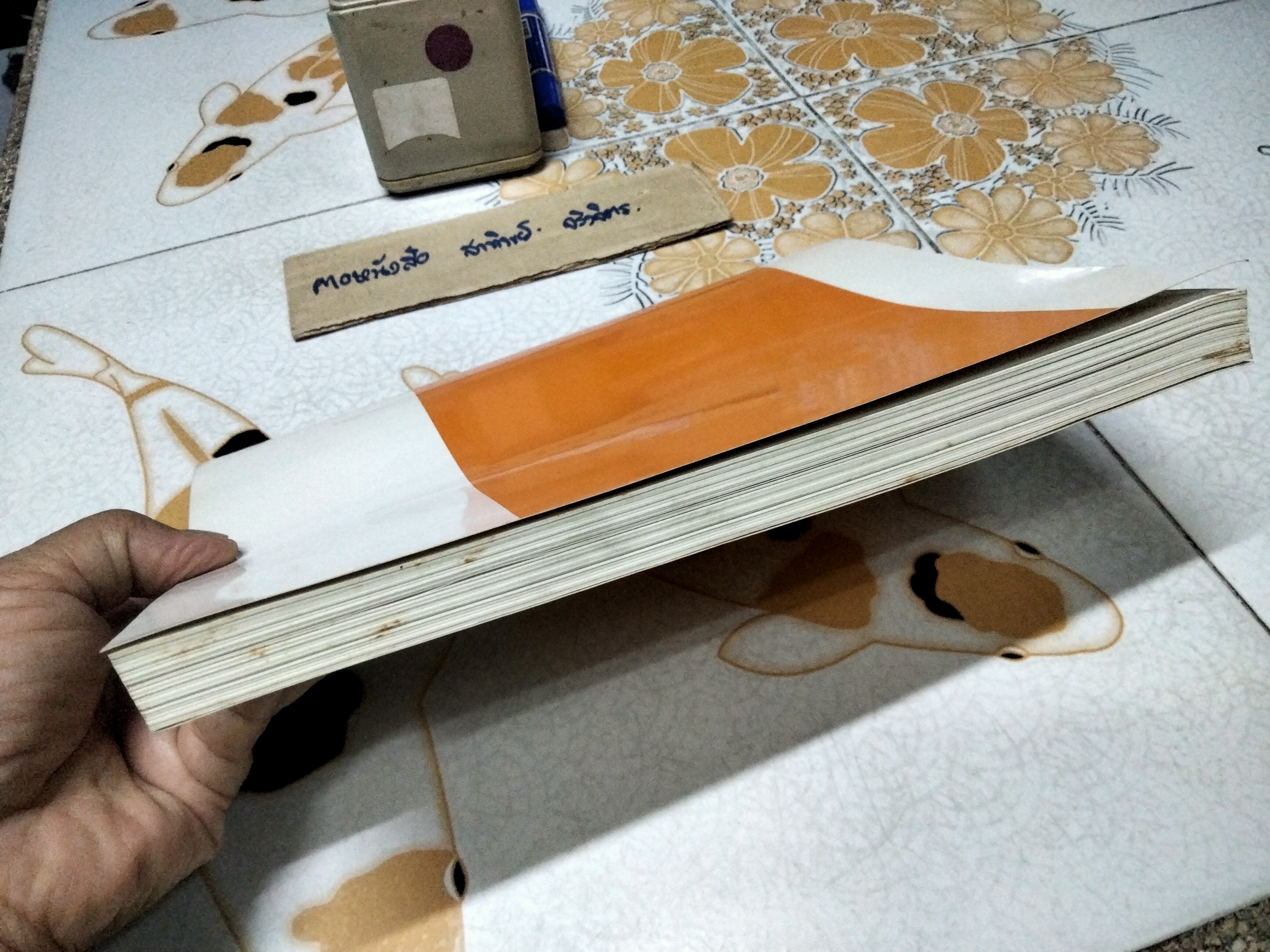 คำอธิบายวิชากฎหมายรัฐธรรมนูญเปรียบเทียบ : รัฐธรรมนูญเยอรมัน โดย ผศ.ดร.บุญศรี มีวงศ์อุโฆษ