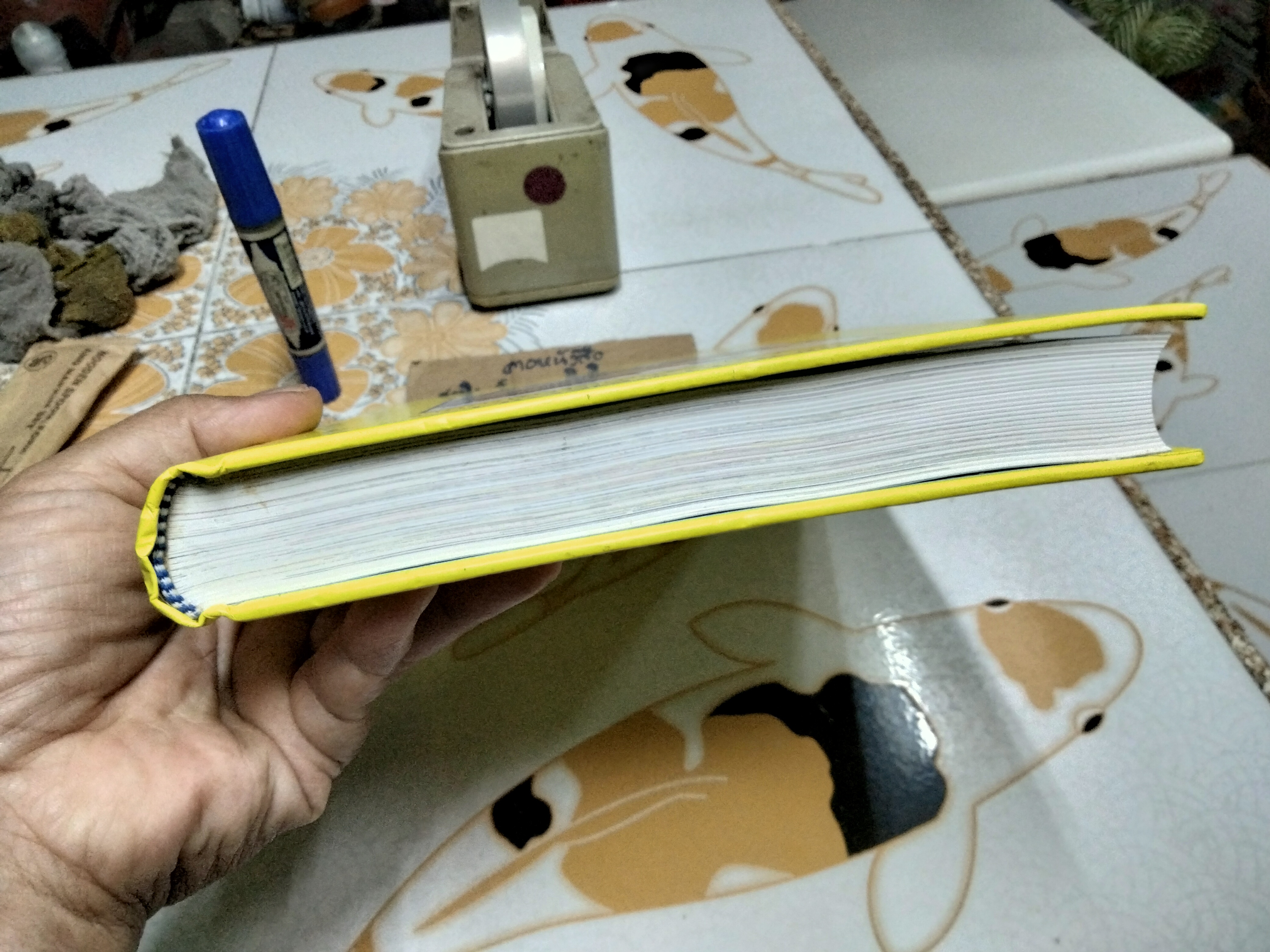 เรื่องเล่า 365 วัน (ปกแข็ง) Virginia J. Muir (เวอร์จิเนีย เจ. มิวเออร์) **สินค้าหมด**