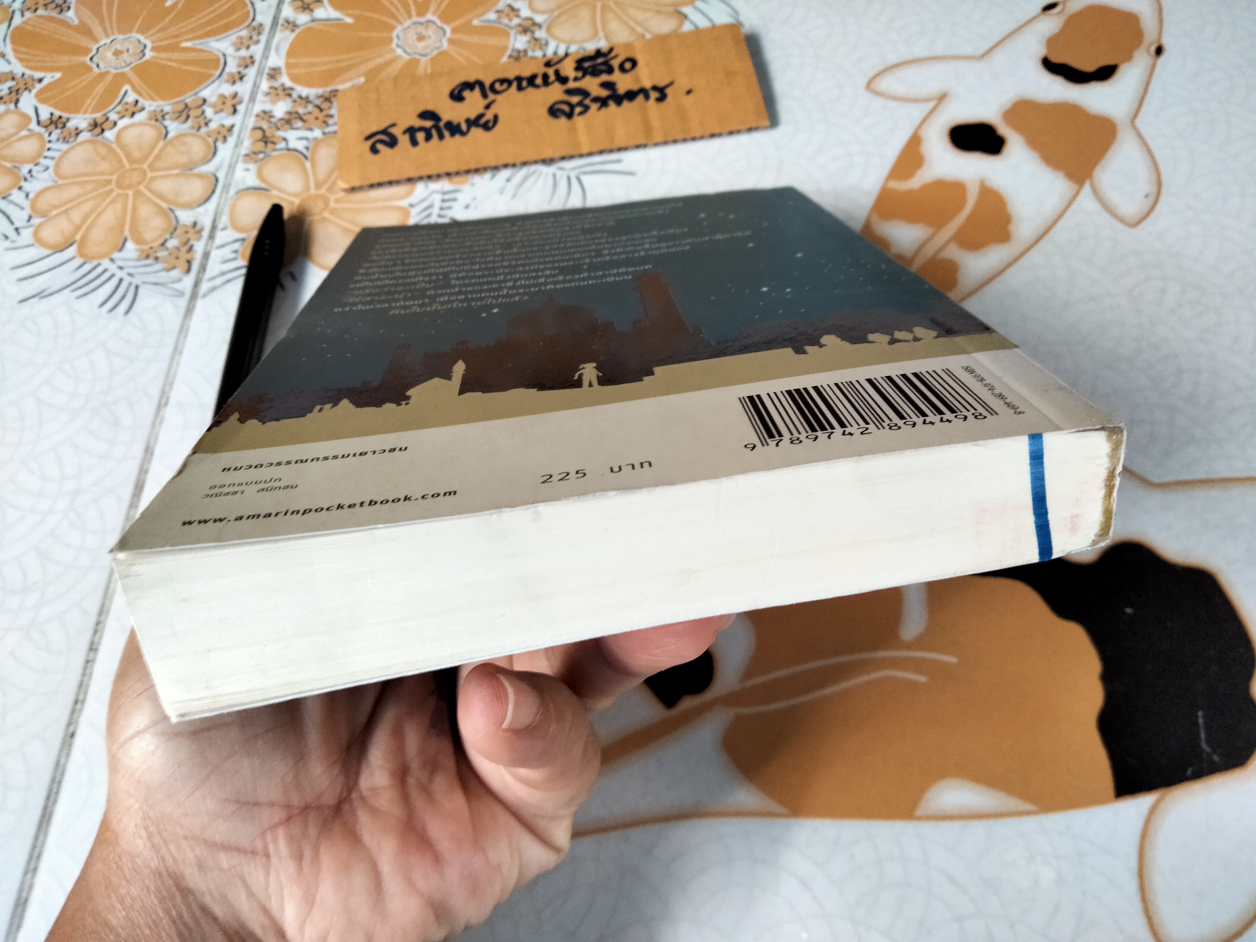 ล่องหน (Vanished) ชีลา ชาริ เขียน ลลิตา ผลผลา แปล **สินค้าหมด**