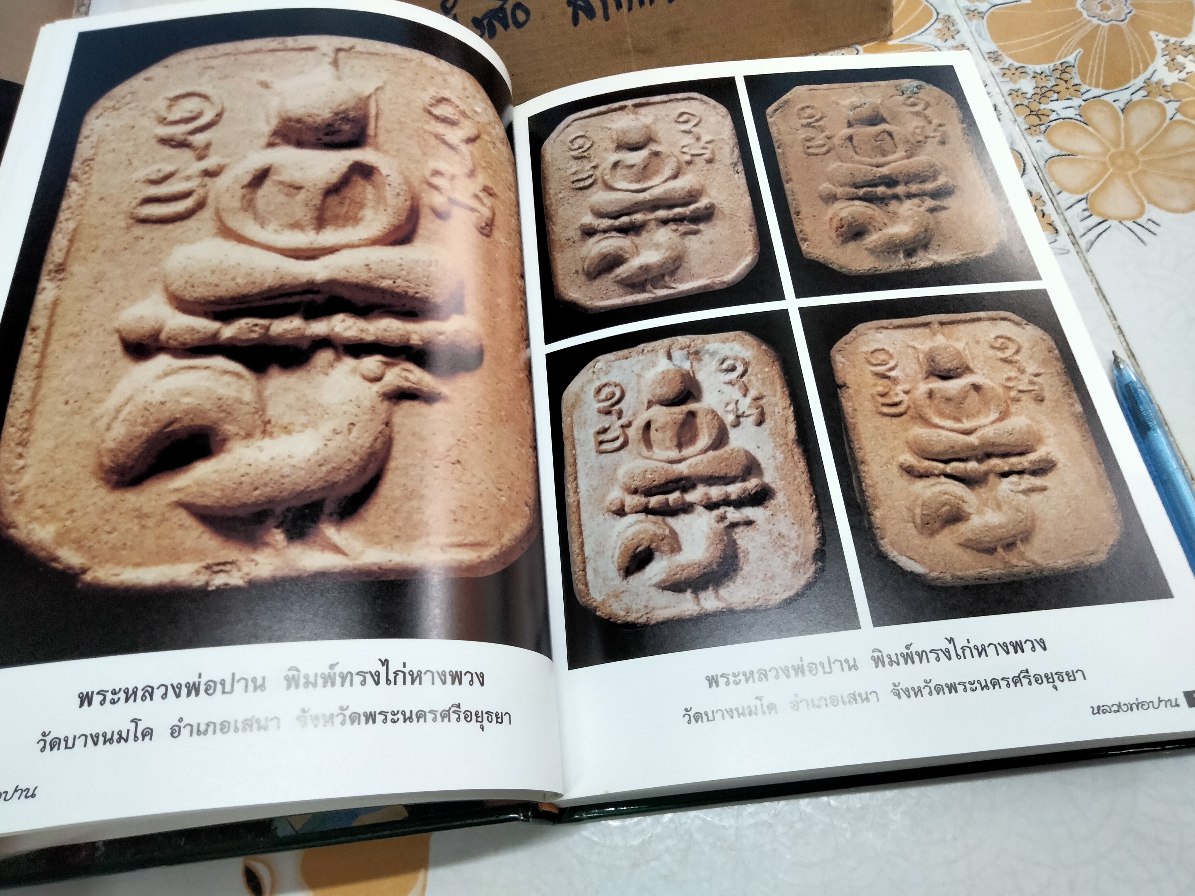 หลวงพ่อปาน (เล่มเขียว-ปกแข็ง) หนังสือรวบรวมภาพวัตถุมงคลและประวัติพระครูวิหารกิจจานุการ (หลวงพ่อปาน โสนันโท) **สินค้าหมด**