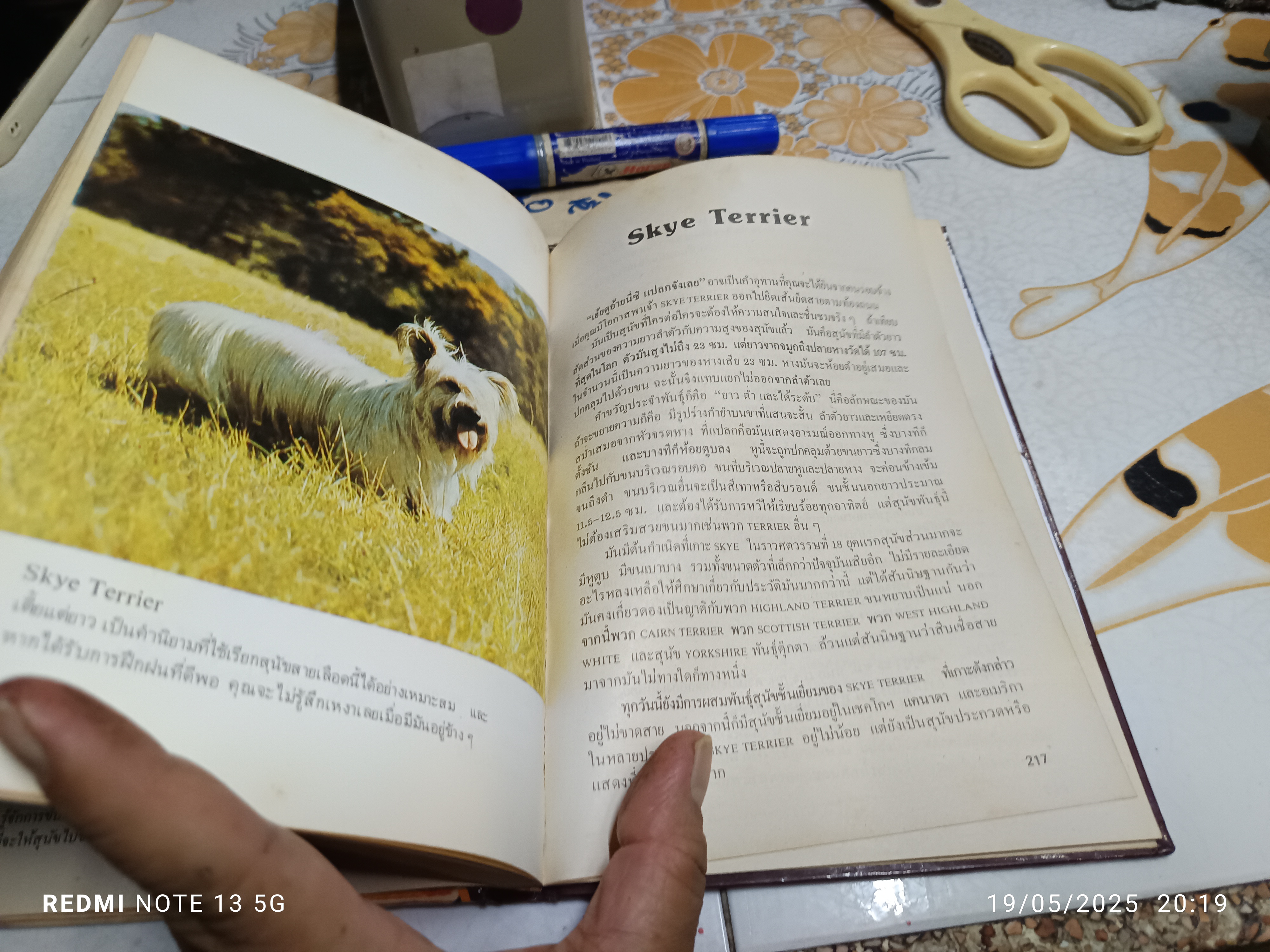 คู่มือ คนรักหมา เรียบเรียงโดย สามสี จัดพิมพ์โดย สำนักพิมพ์กราฟิคอาร์ต **สินค้าหมด**
