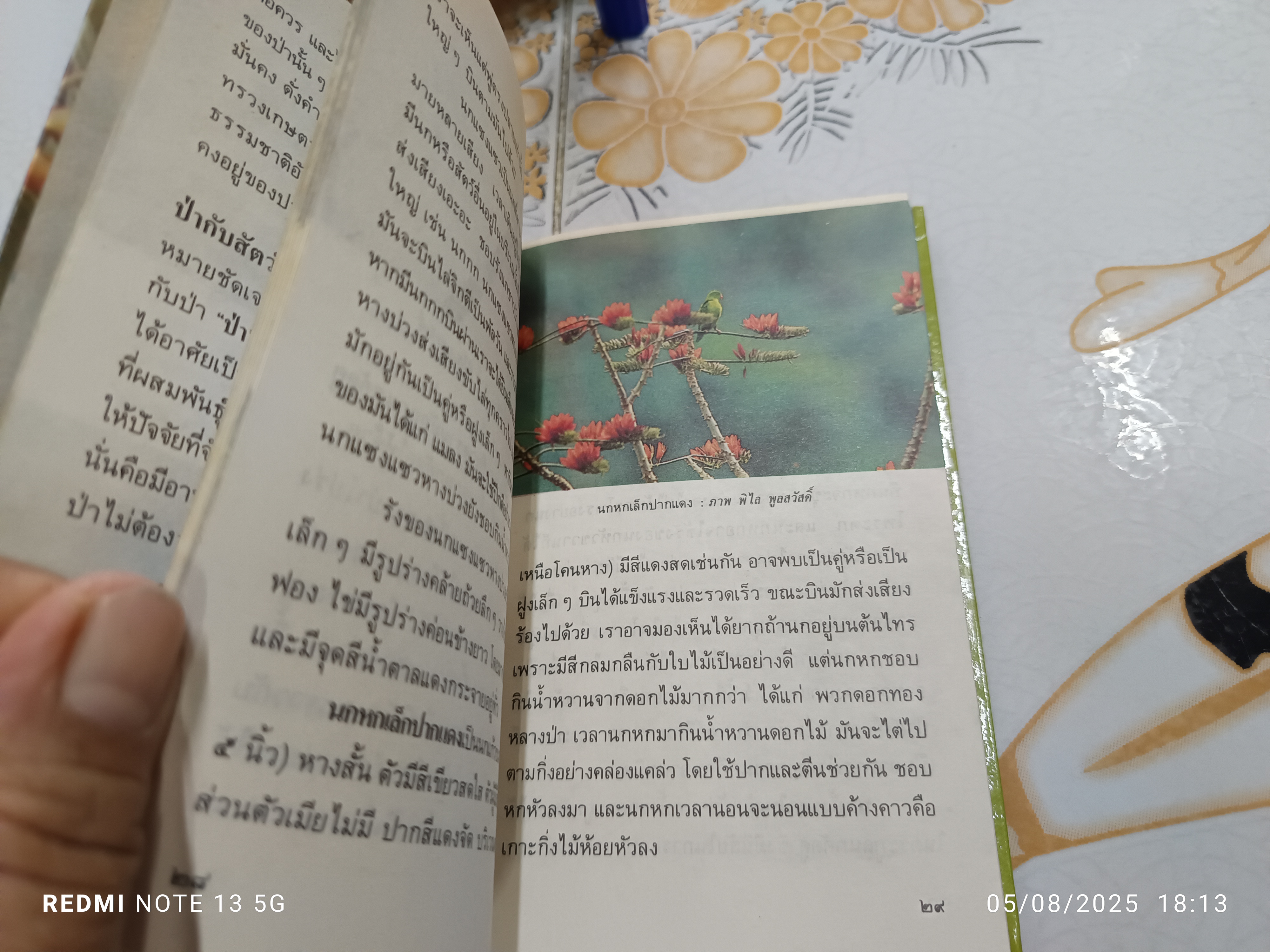 นกป่า โดย พิไล พูลสวัสดิ์ พิมพ์ครั้งที่ 1 ปี 2532 หนังสือชุดความรู้ไทยขององค์การค้าคุรุสภา