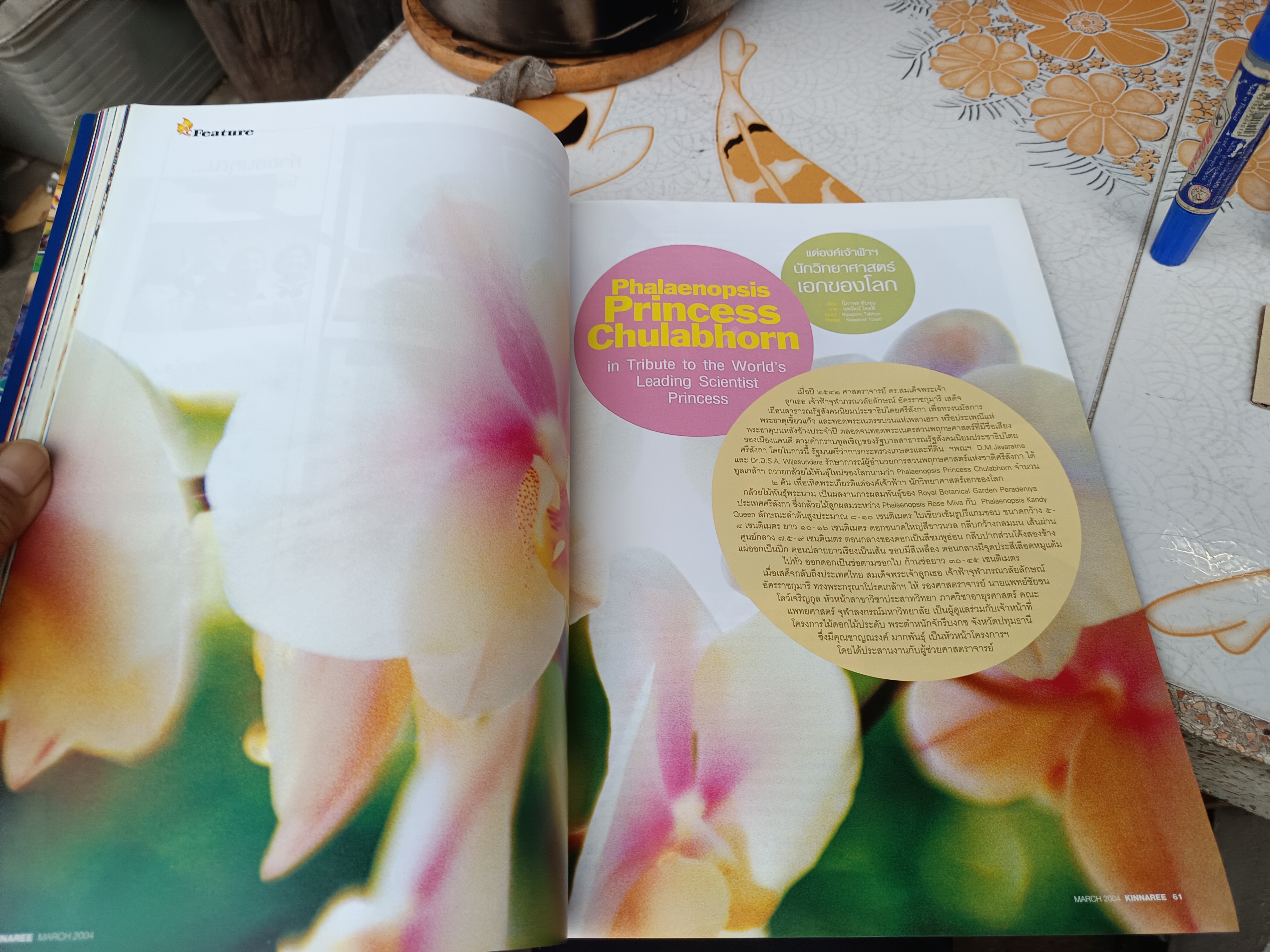 นิตยสารกินรี Kinnaree / ปีที่ 21 ฉบับที่ 3 March 2004 / แด่องค์เจ้าฟ้าฯ นักวิทยาศาสตร์เอกของโลก