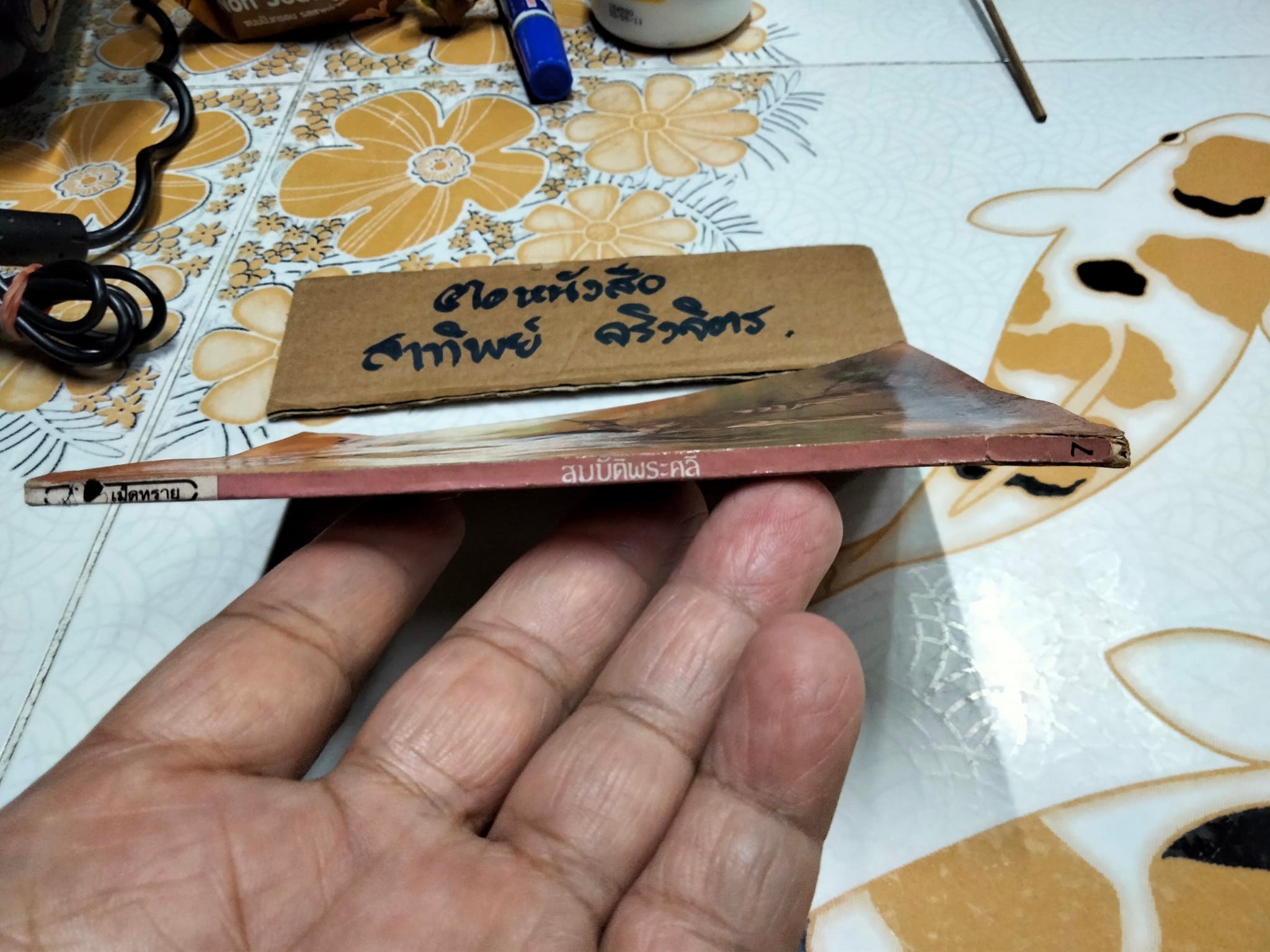 สมบัติพระศุลี (King Solomon's Mines) โดย เซอร์เฮนรี่ ไรเดอร์ แฮกการ์ด แปลโดย หน่าจ้อย