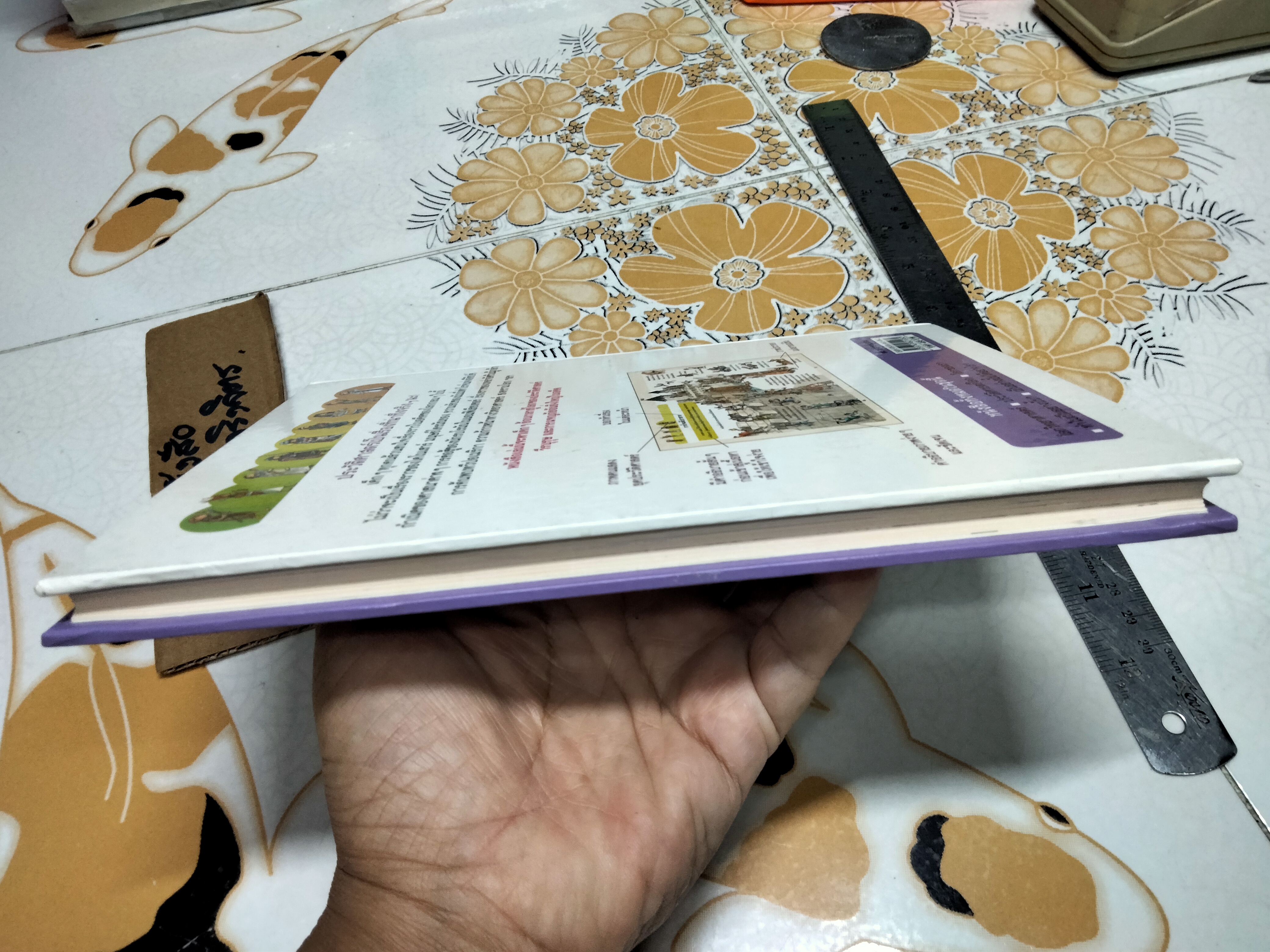 ชวนเปิดโลกความรอบรู้ด้วย สารานุกรมภาพสำหรับเด็ก - ประวัติศาสตร์ **สินค้าหมด**