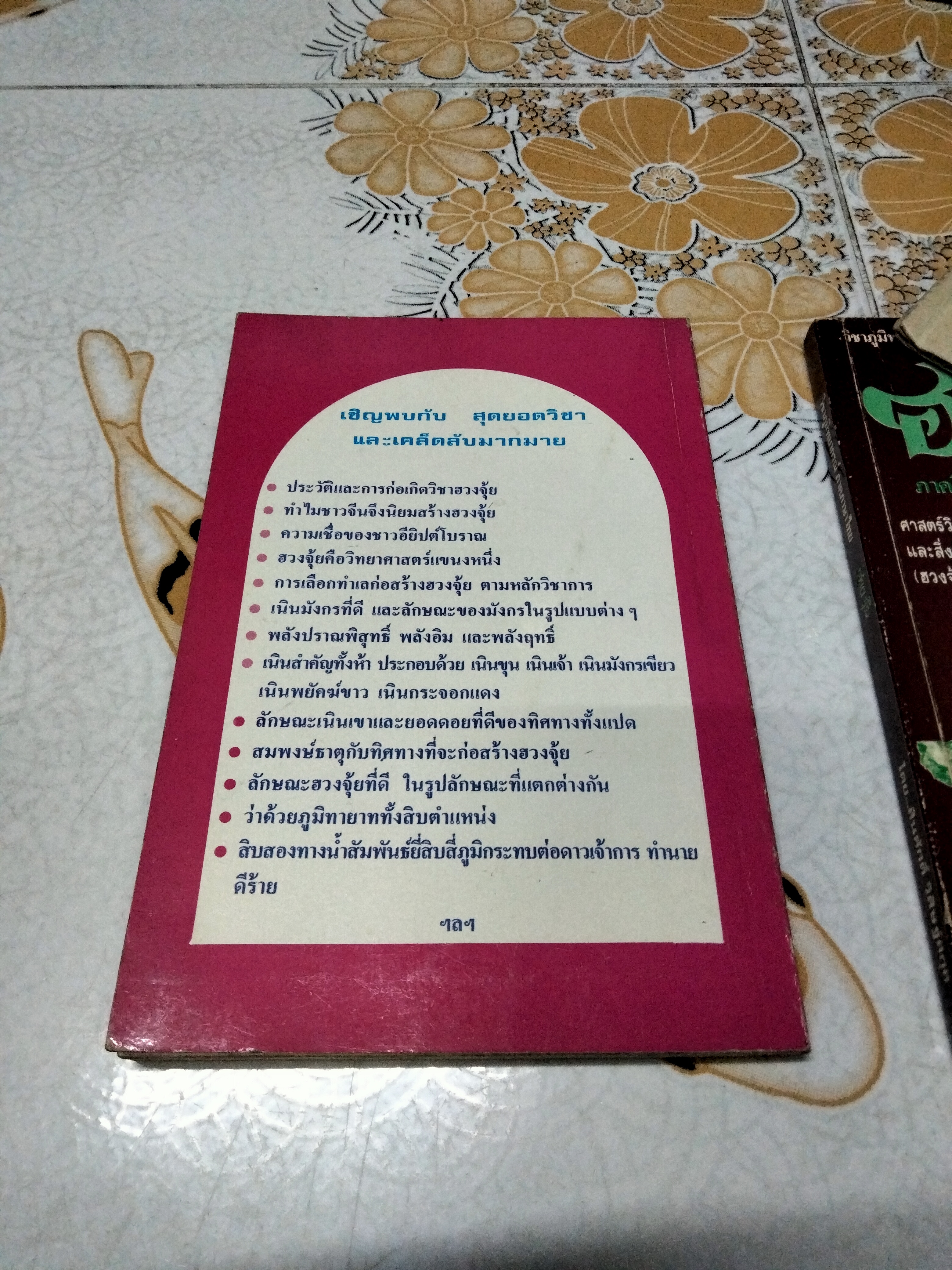 หนังสือวิชาภูมิพยากรณ์ ภาคภาษาไทย ฮวงจุ้ยภาควิชาการ มีแค่เล่ม 2-3 โดย อ.สินศักดิ์ วิศิษฐ์สกุล **สินค้าหมด**