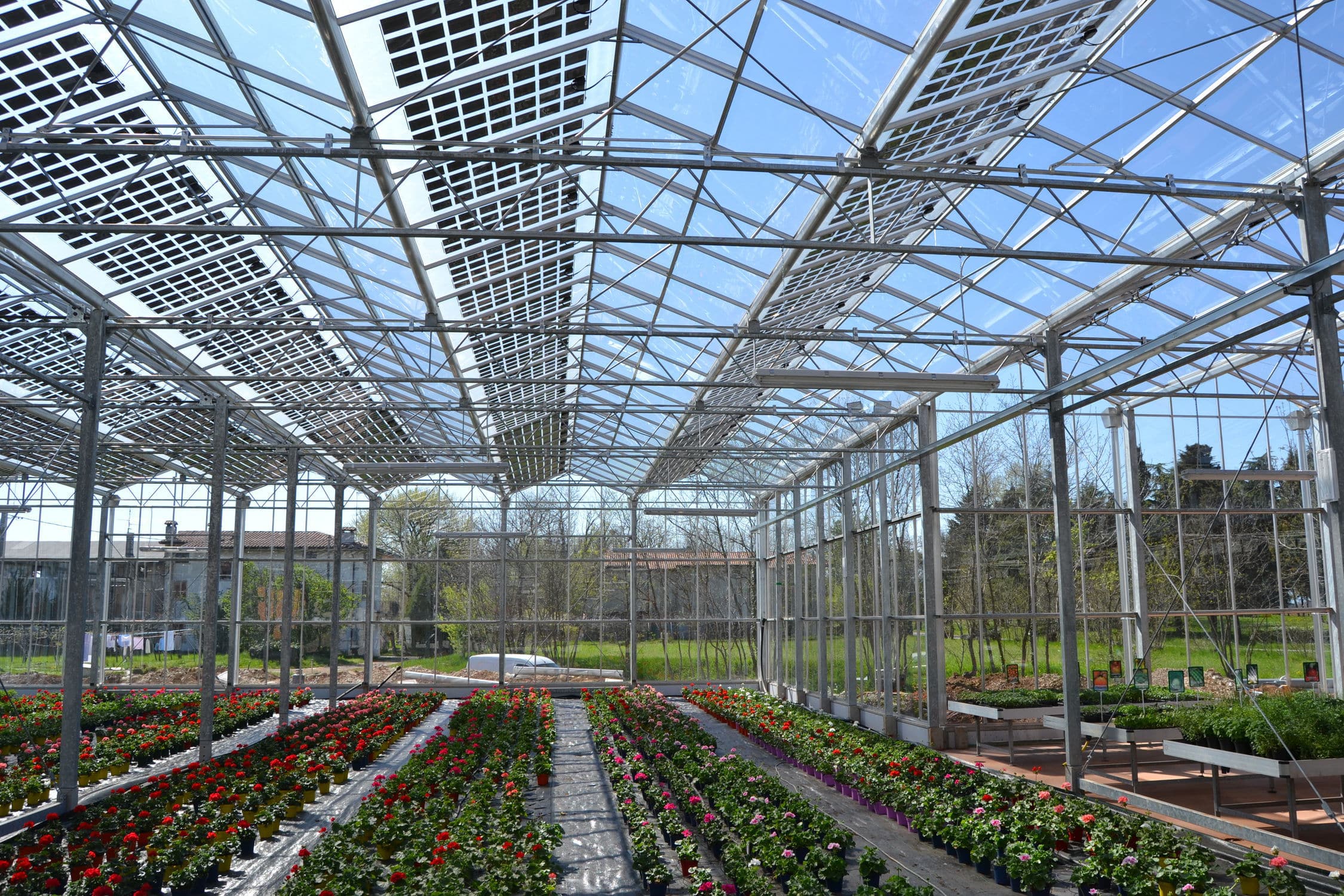Greenhouse Solar panel rooftop