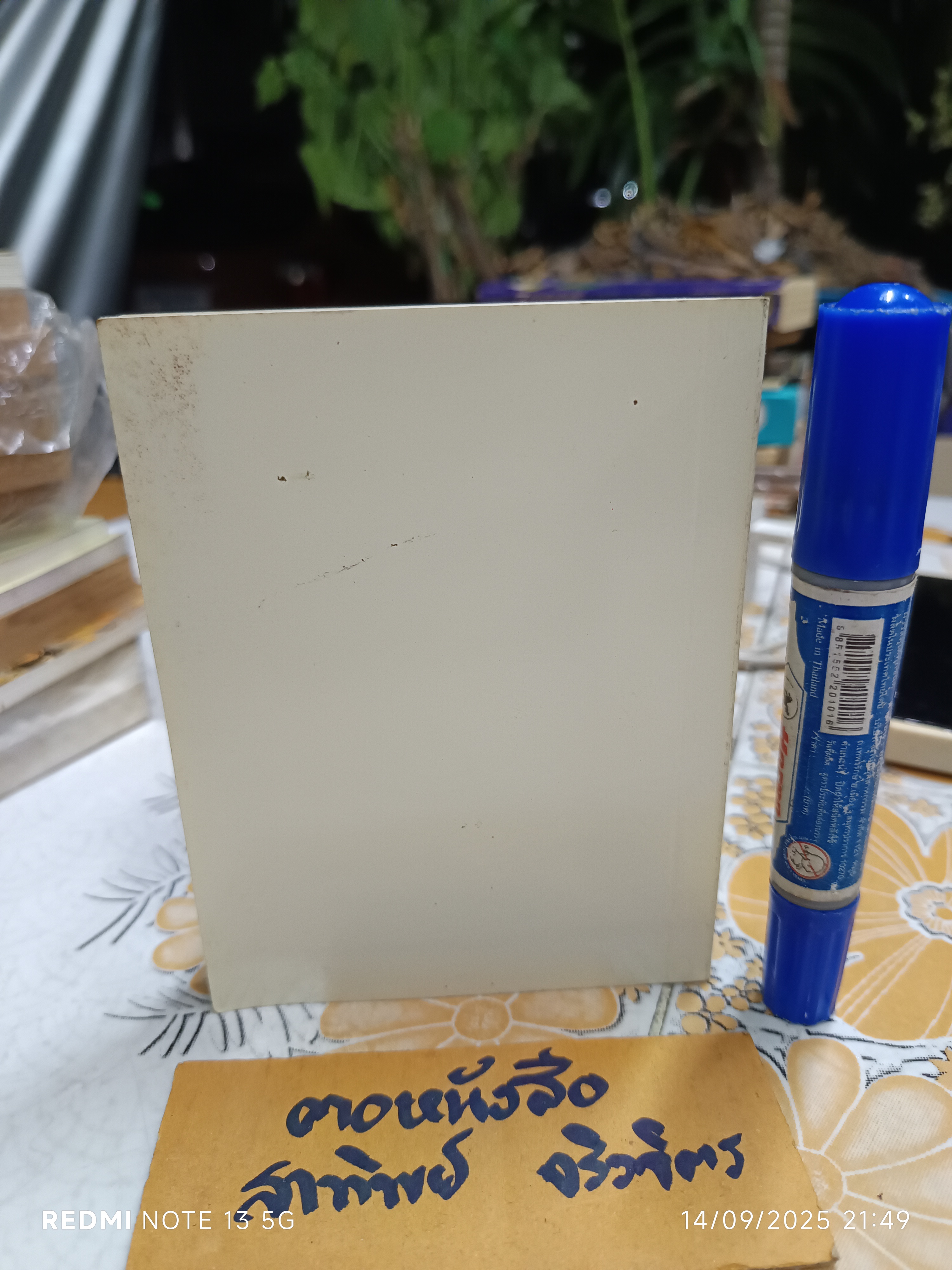 ลูกแมวน้อย ทอม คิตเทน THE TALE OF TOM KITTEN เล่มเล็ก อภินันทนาการจากการบินไทย