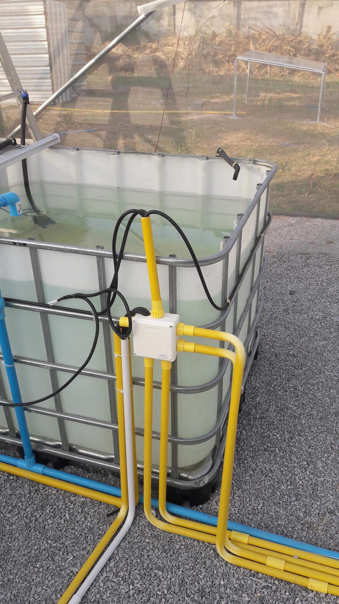 Smart Farm Aquaponics Systems