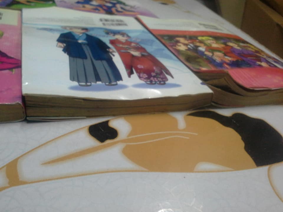 หนังสือการ์ตูน คู่แท้แต่มาป่วน (17 เล่มจบ) โดย KOU FUMIZUKI ขนาด BigBook