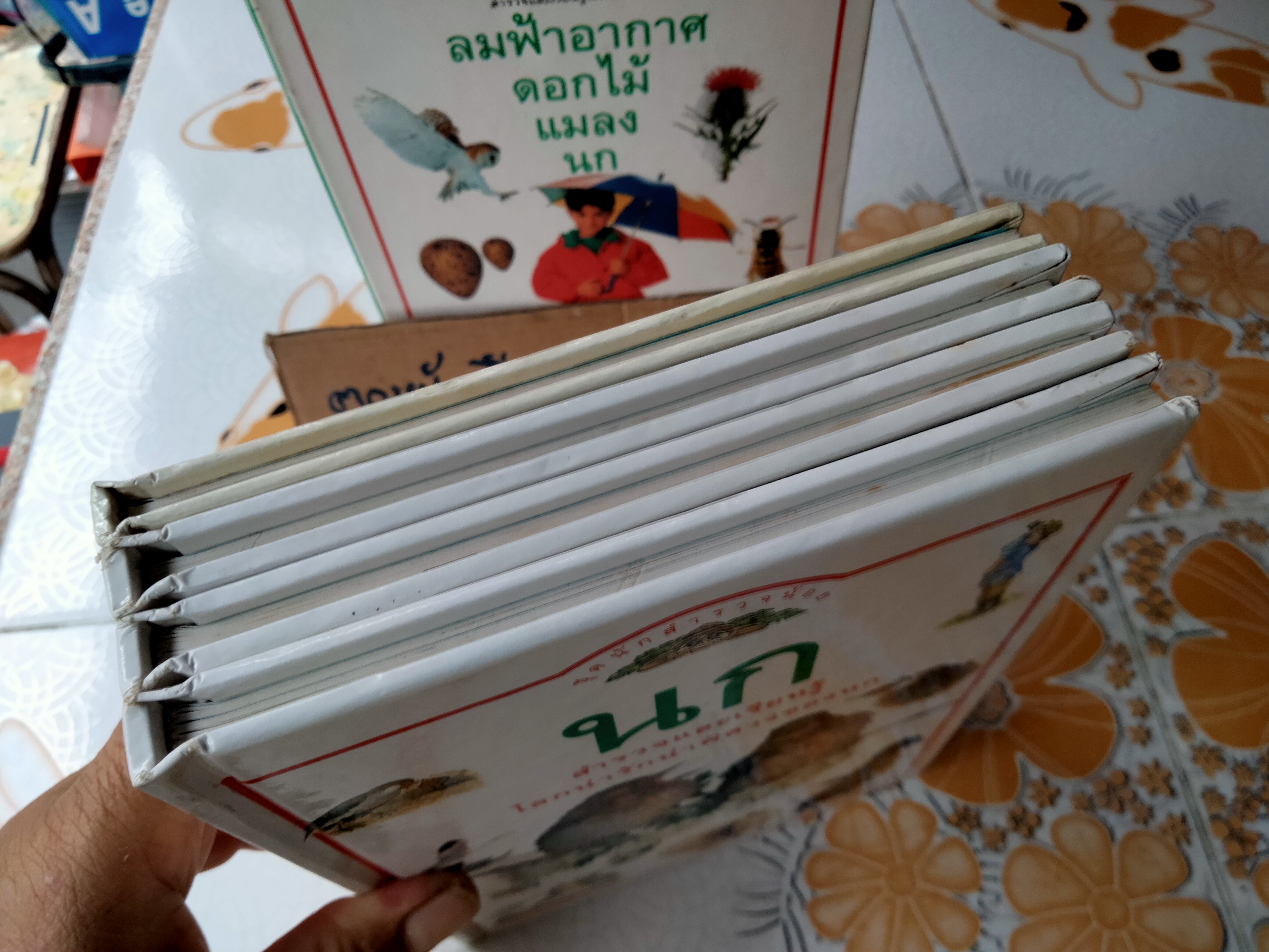 หนังสือชุดนักสำรวจน้อย-ลมฟ้าอากาศ, ดอกไม้, แมลง ,นก (Boxset) **สินค้าหมด**