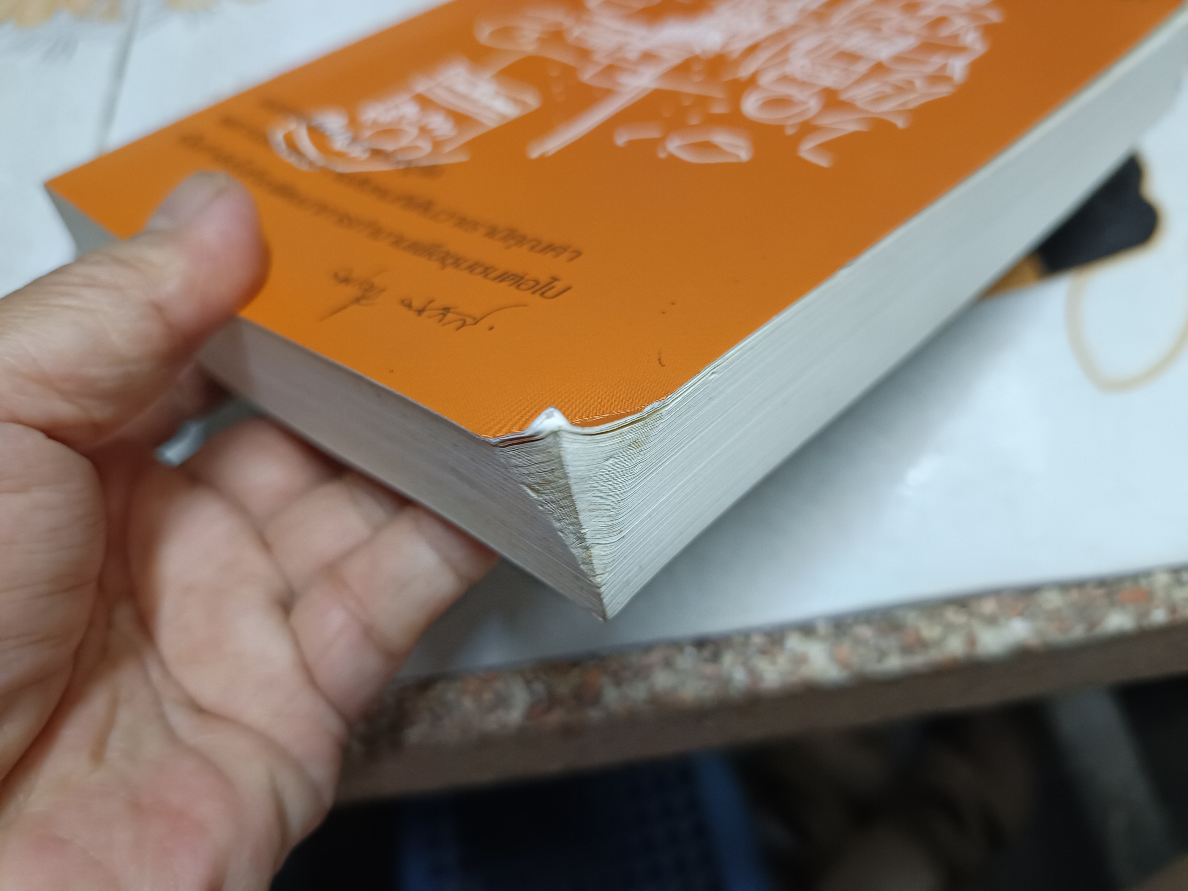 พัฒนาในงานพัฒนา พร้อมบุญ พานิชภักดิ์ เขียน มูลนิธิรักษ์ไทย พิมพ์ครั้งที่ 2/2552 (1,000 เล่ม)