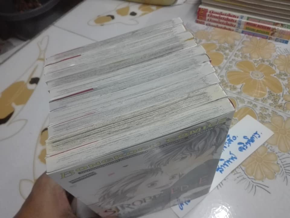 สโตรบ เอดจ์ (STROBE EDGE) 10 เล่มจบ