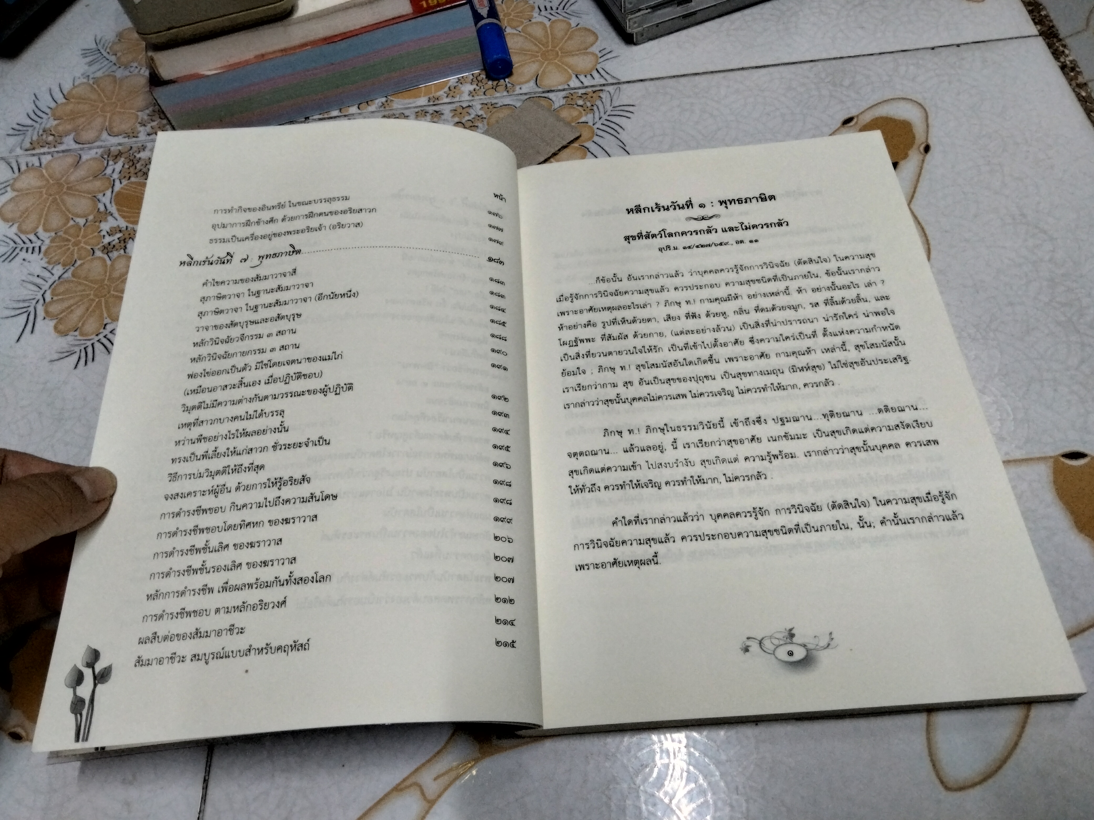 ธรรมเทศนา การหลีกเร้นปฏิบัติสมาธิวิปัสสนา หลักสูตรจากพุทธโอษฐ์ - วัดป่าดอนหายโศก จ.อุดรธานี **สินค้าหมด**