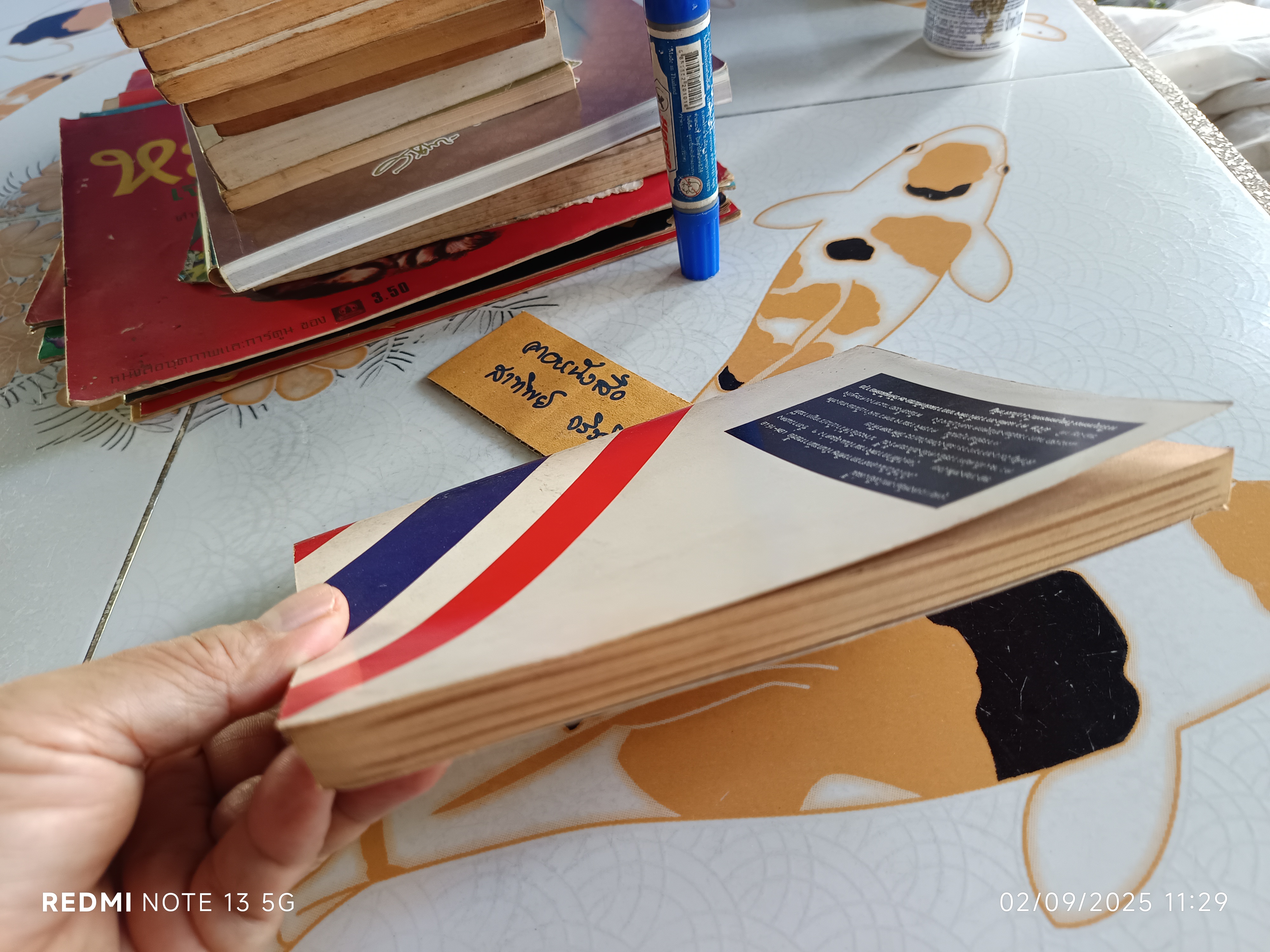 เอฟ-16 กับการเมืองไทย สุชาติ บำรุงสุข : บรรณาธิการ พิมพ์ครั้งที่ 2/2528 สำนักพิมพ์ดอกหญ้า **สินค้าหมด**