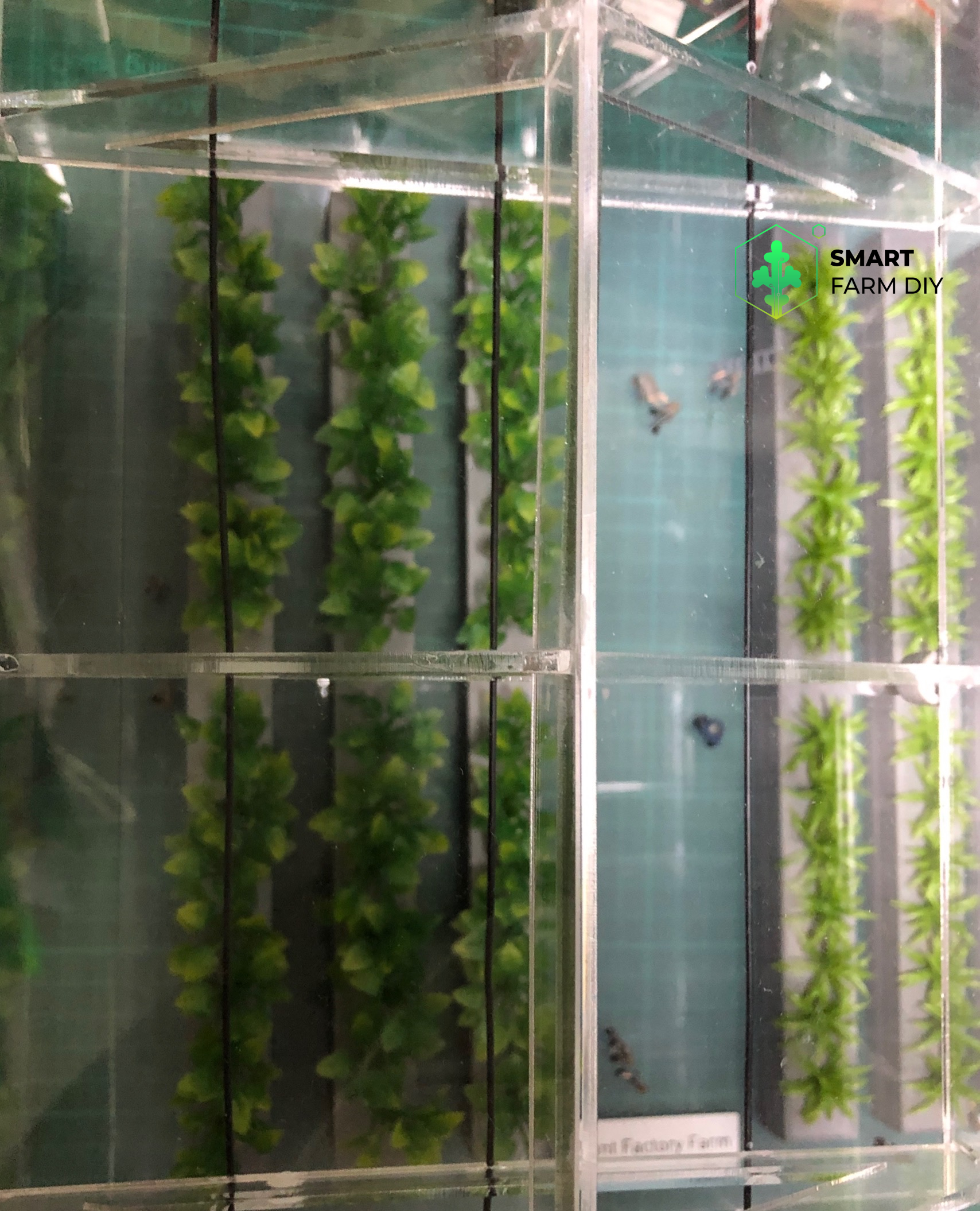 โมเดลโรงเรือนผลิตพืช Plants Greenhouse Farm รุ่น-SMA001