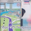 Sygic GPS Navigation ( 1 DVD )