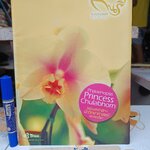 นิตยสารกินรี Kinnaree / ปีที่ 21 ฉบับที่ 3 March 2004 / แด่องค์เจ้าฟ้าฯ นักวิทยาศาสตร์เอกของโลก