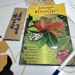 อโกลนีมา - ร้อยพรรณพฤกษา โดย อ.เศรษฐมันตร์ กาญจนกุล **สินค้าหมด**