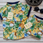 เสื้อเชิ้ตเด็กสดใส ลายมะพร้าว