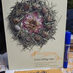 สำนักปฏิบัติธรรม ตามแนวสติปัฏฐานสูตร : ศูนย์เผยแผ่พระพุทธศาสนาแห่งชาติ ตามดำริ สมเด็จพระพุทธชินวงศ์ (สมศักดิ์ อุปสมมหาเถร) Box set พร้อม cd 3 แผ่น