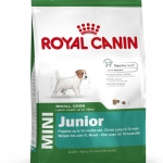 Royal Canin Mini Junior 800g