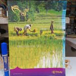 นิตยสารกินรี Kinnaree ปีที่ 22 ฉบับที่ 9 September 2005 / Thai Hom Mali rice **มีคราบน้ำที่ขอบ