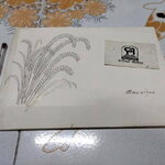 หนังสือที่ระลึกงานพระราชทานเพลิงศพ หม่อมหลวง สร้อยระย้า ยุคล **สินค้าหมด**