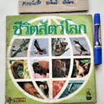 สมุดสะสมสติกเกอร์ ชีวิตสัตว์โลก (แปะครบ 240 รูป) หนังสือมือสอง สภาพพอใช้ **สินค้าหมด**