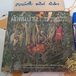 ผักพื้นบ้าน ความหมายและภูมิปัญญาของสามัญชนไทย โดย สถาบันการแพทย์แผนไทย กรมการแพทย์ กระทรวงสาธารณสุข