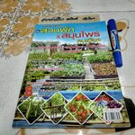 คู่มือการเพาะปลูกสวนผัก & สมุนไพรคนเมือง ผู้เขียน อภิชาติ ศรีสอาด