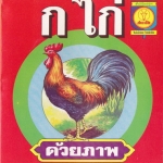แบบหัดอ่าน ก.ไก่ และ ABC ด้วยภาพ สำหรับชั้นอนุบาล (หน้า-หลัง) สภาพดี หนังสือตกค้างจากร้านค้า