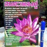 หนังสือ อมตะเพลงคู่ รวมเพลงคู่อมตะร่วมสมัย