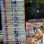 จอมโหดกระทะเหล็ก (27 เล่มจบ ) ปก 35